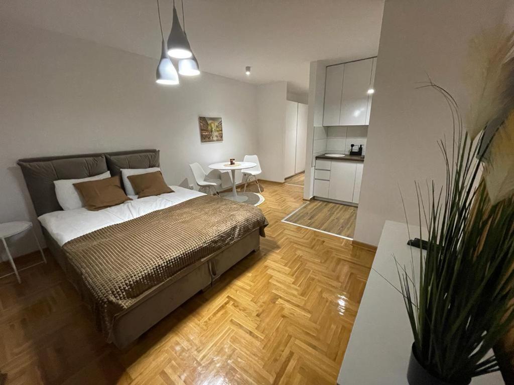 One-Bedroom Apartment photo 3