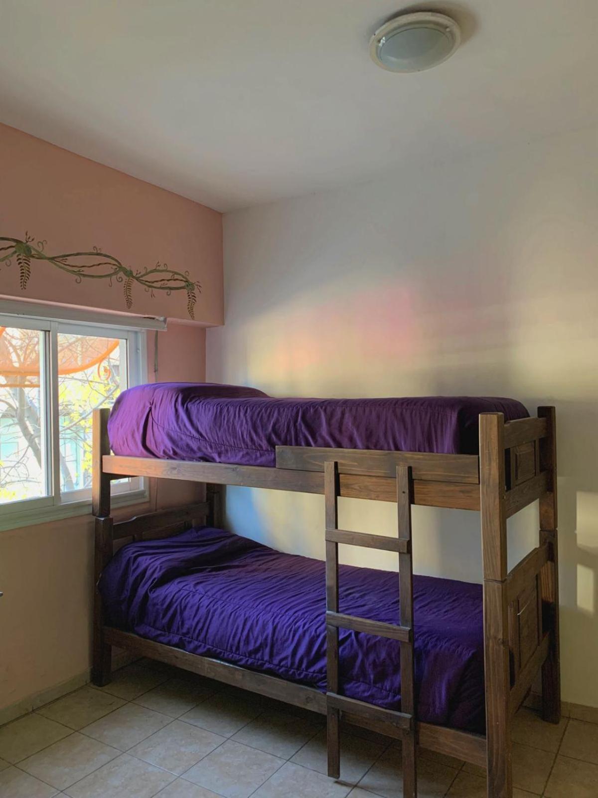 Bed in 6-Bed Mixed Dormitory Room