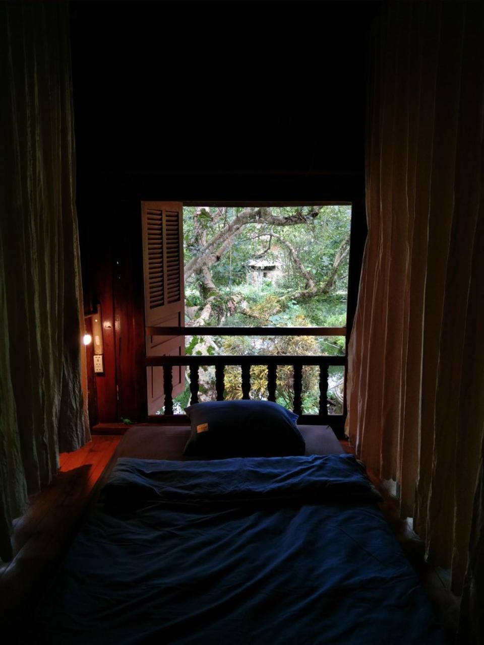 Single Bed in Mixed Dormitory Room photo 3