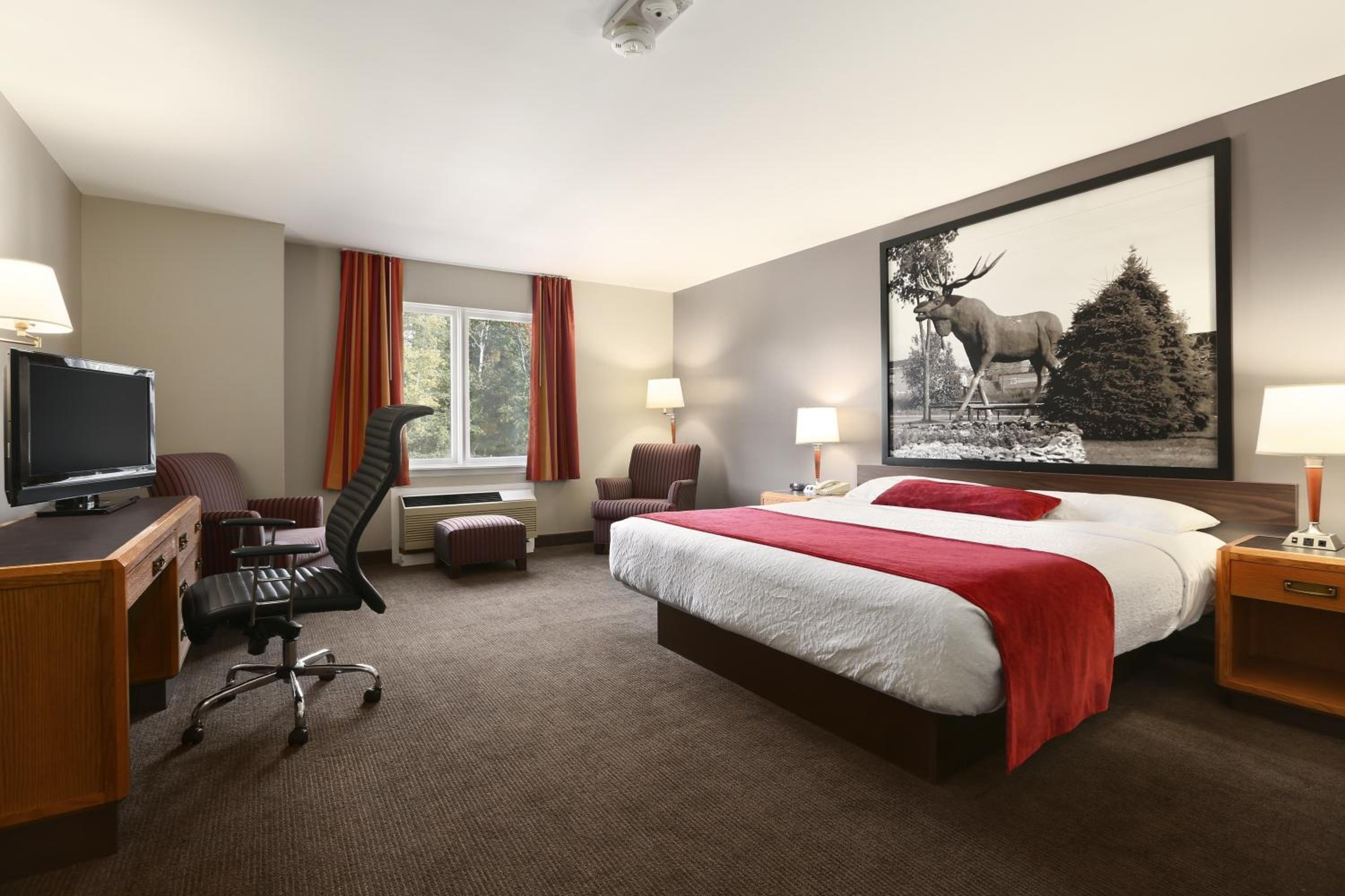 King Room - Non-Smoking - Photo 2