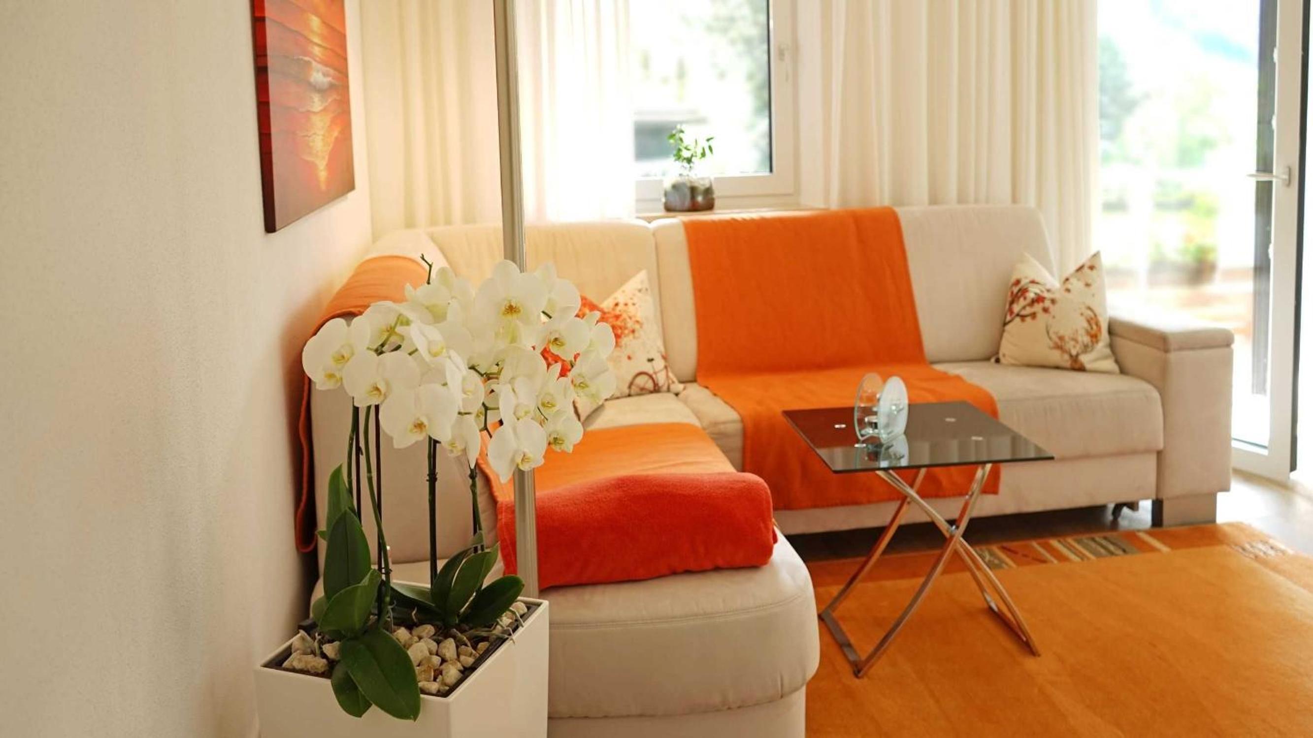 One-Bedroom Apartment with Balcony photo 2