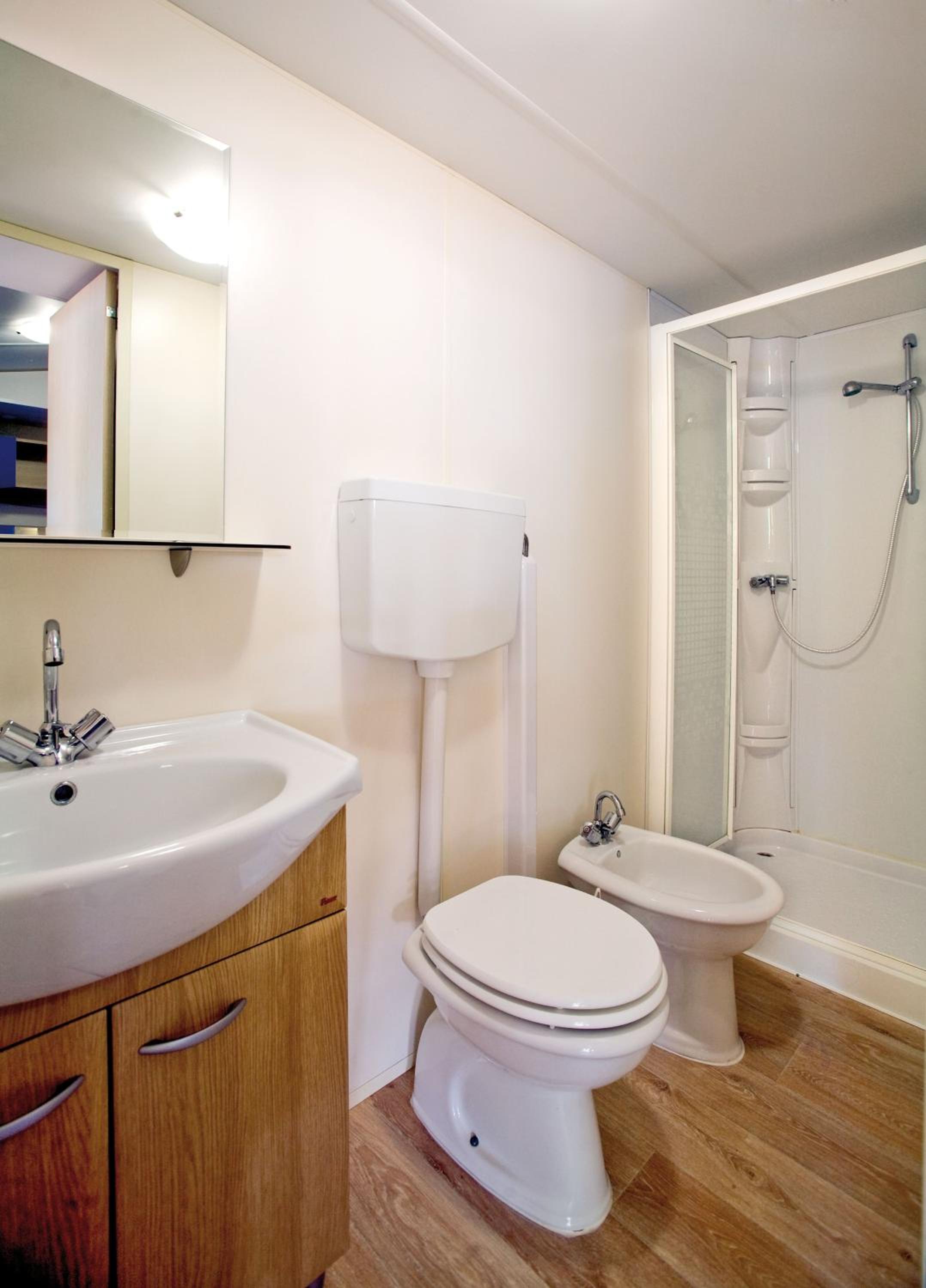 Mobile Home photo 3