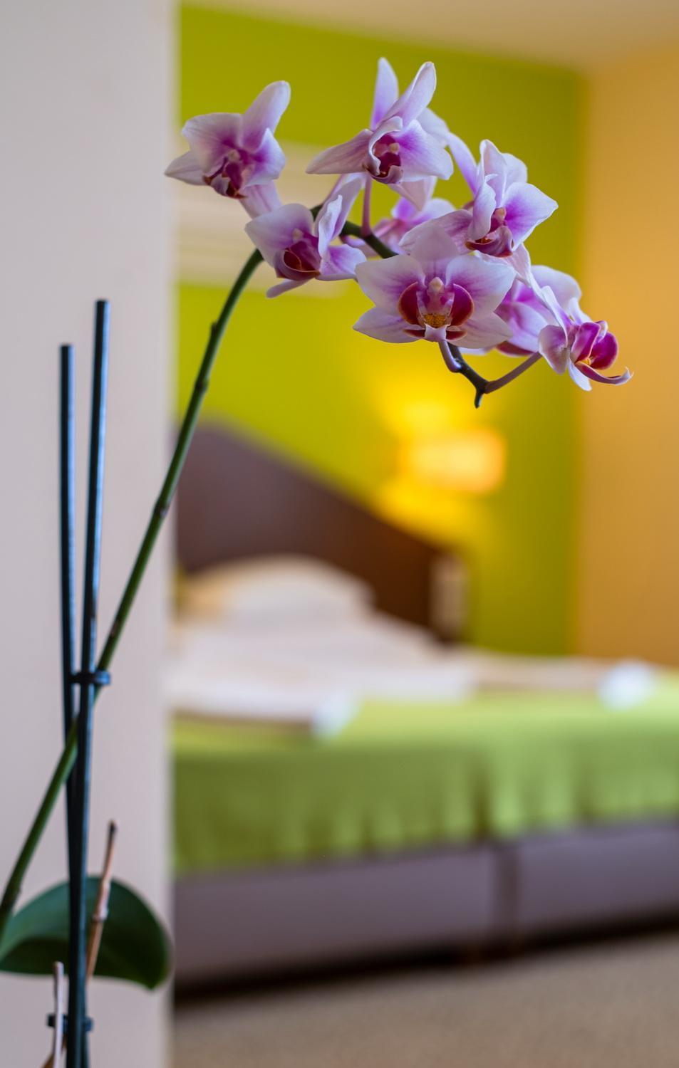 Deluxe Double Room with Balcony - Photo 4