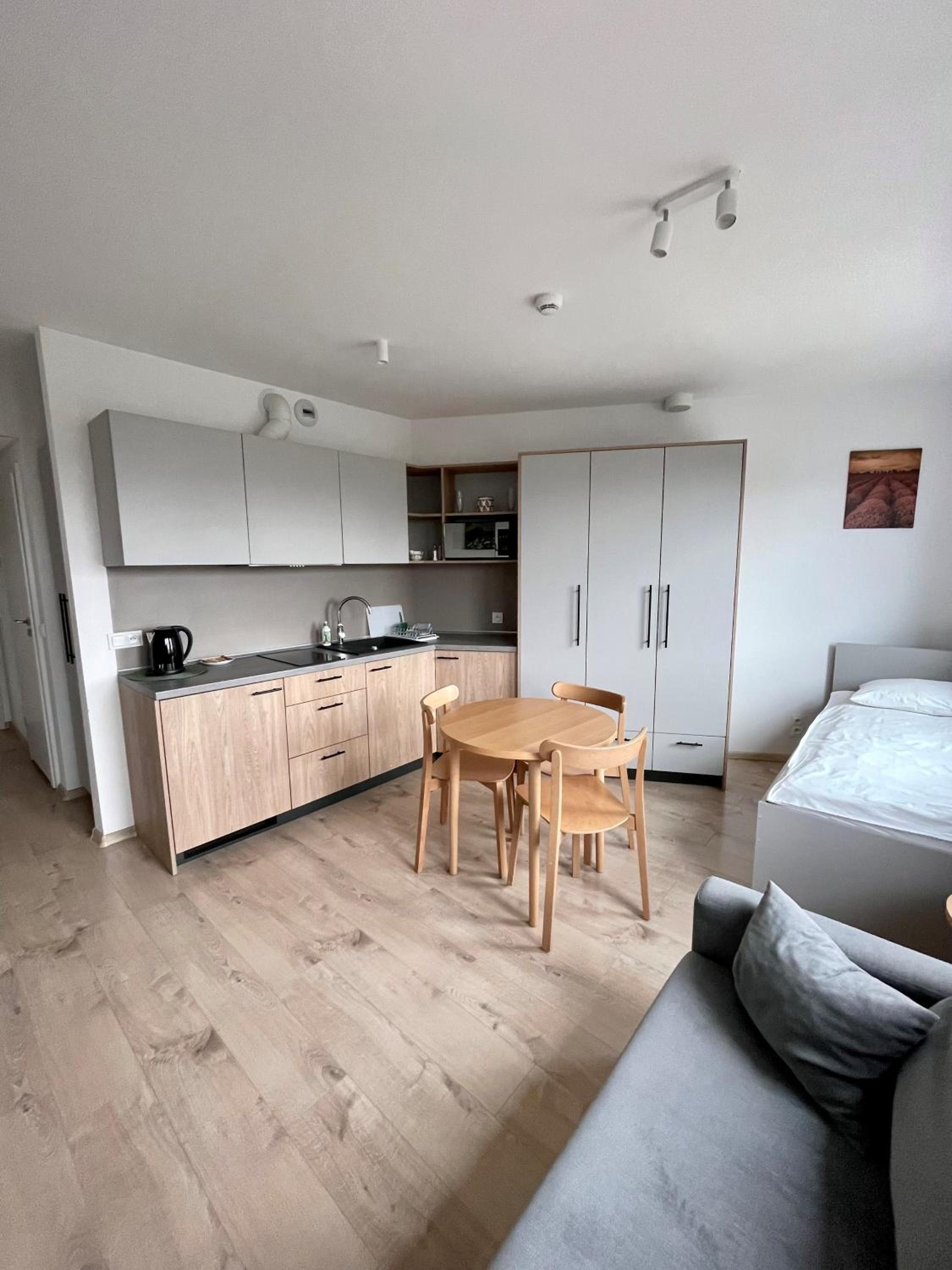 Studio Apartment - Photo 4