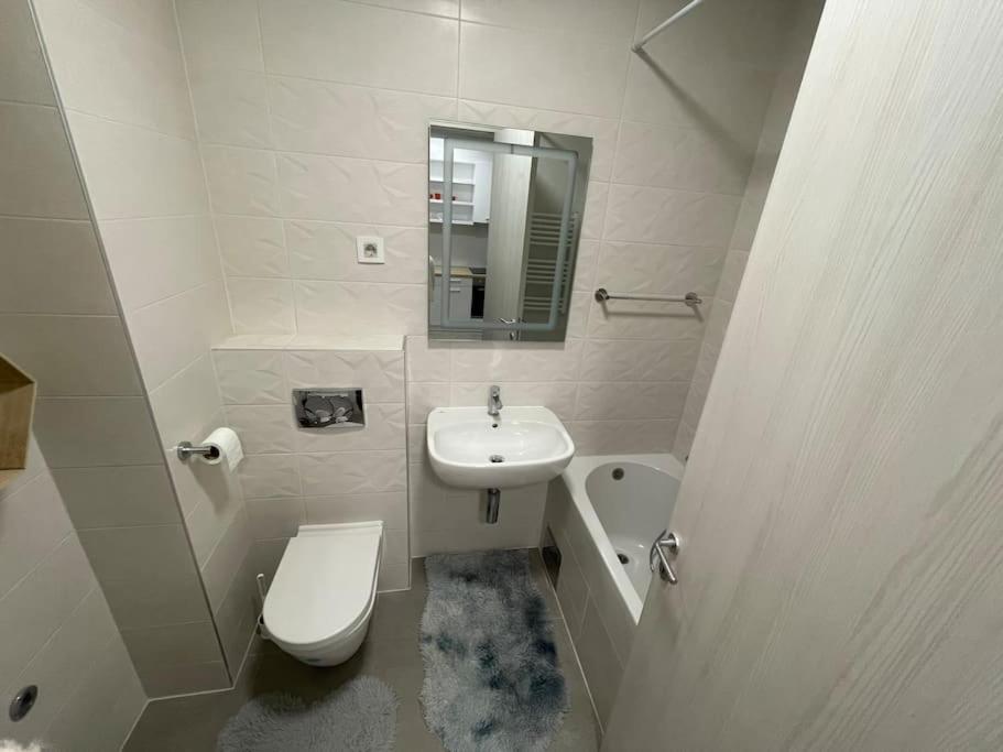 One-Bedroom Apartment photo 3