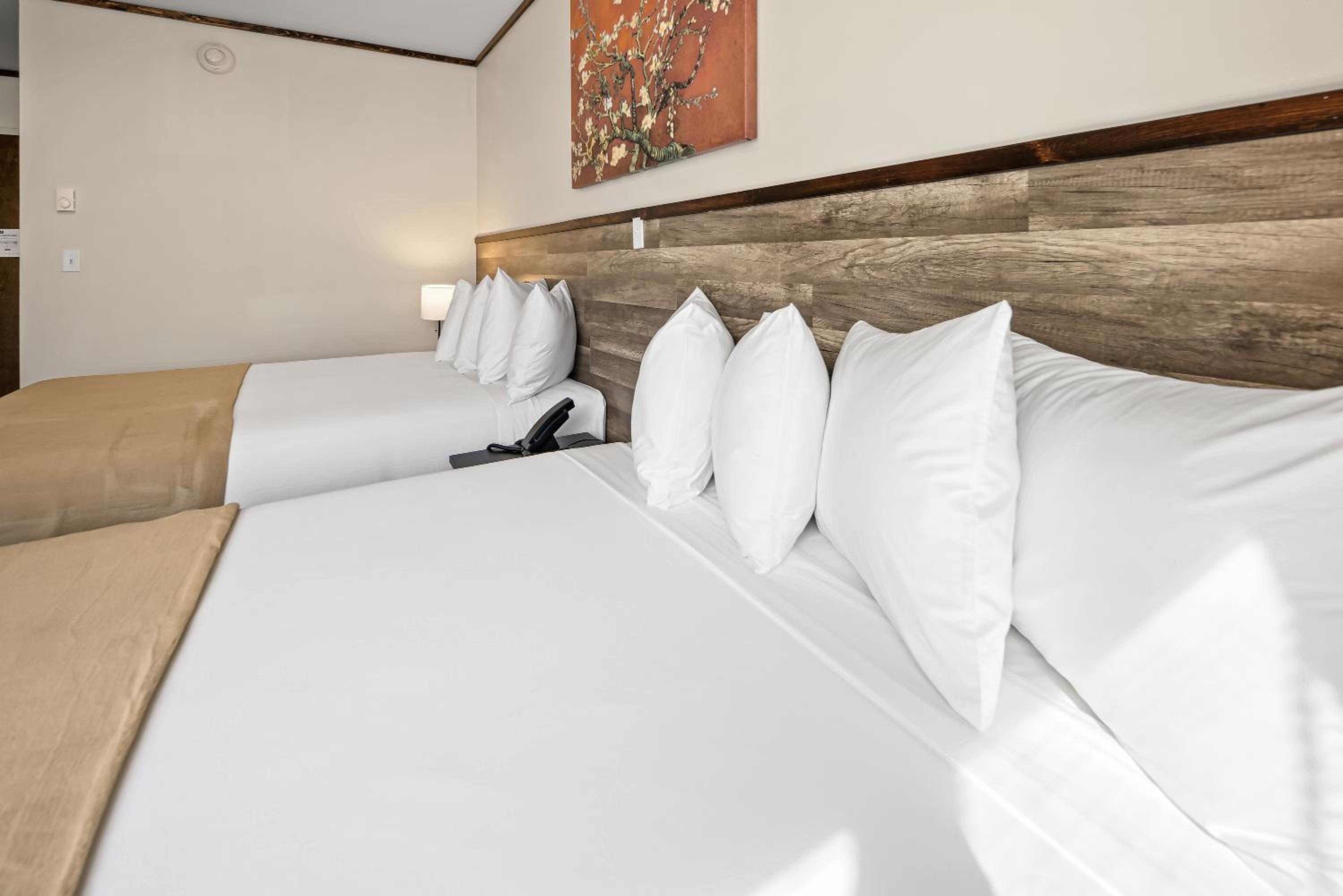 Deluxe Queen Room photo 2