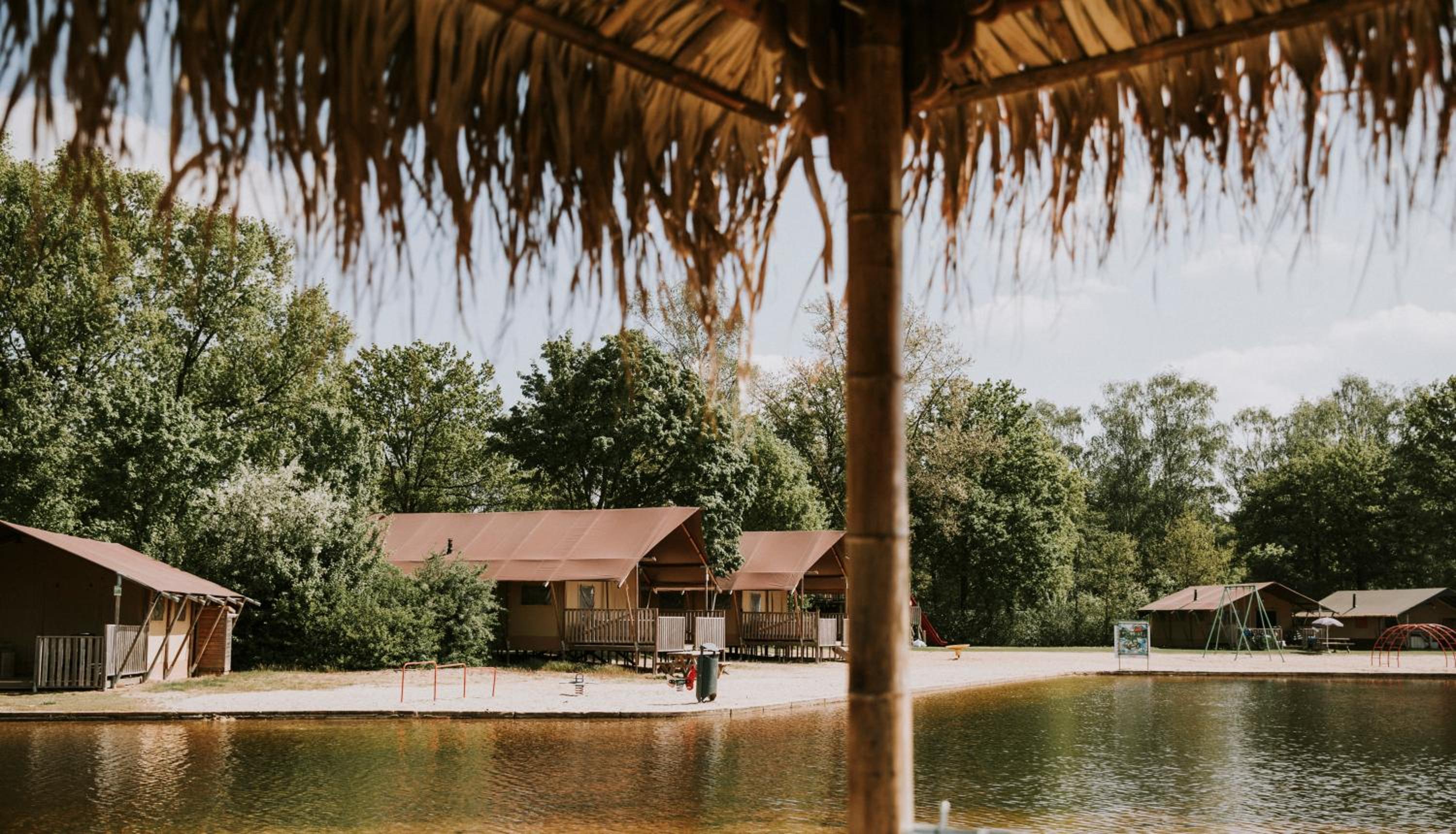 Lodgetent Pauw photo 3