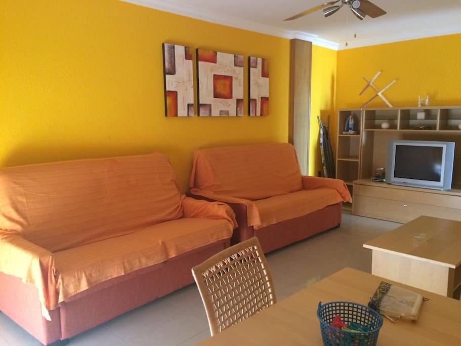 One-Bedroom Apartment photo 3