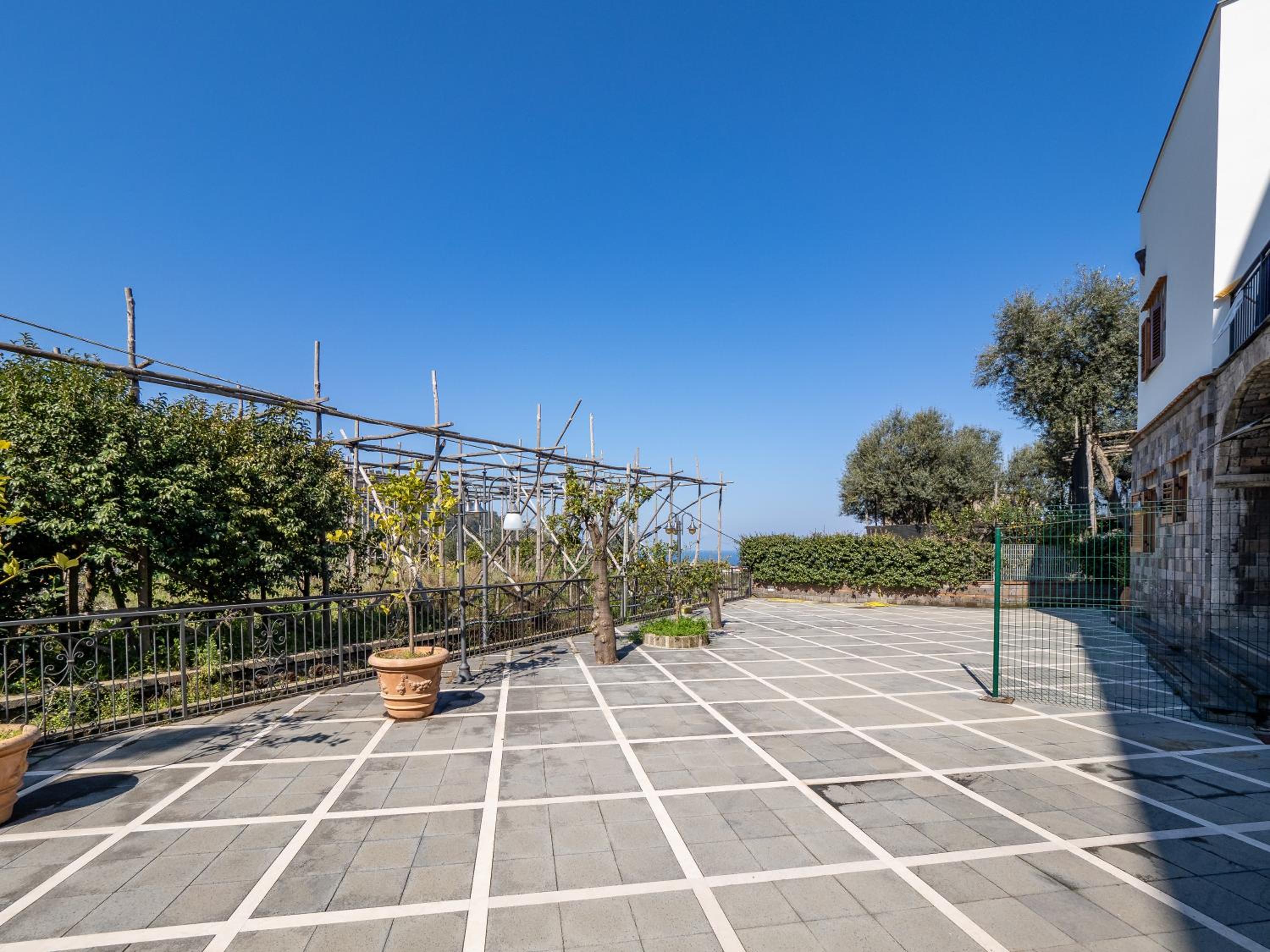 Apartment with Terrace photo 2