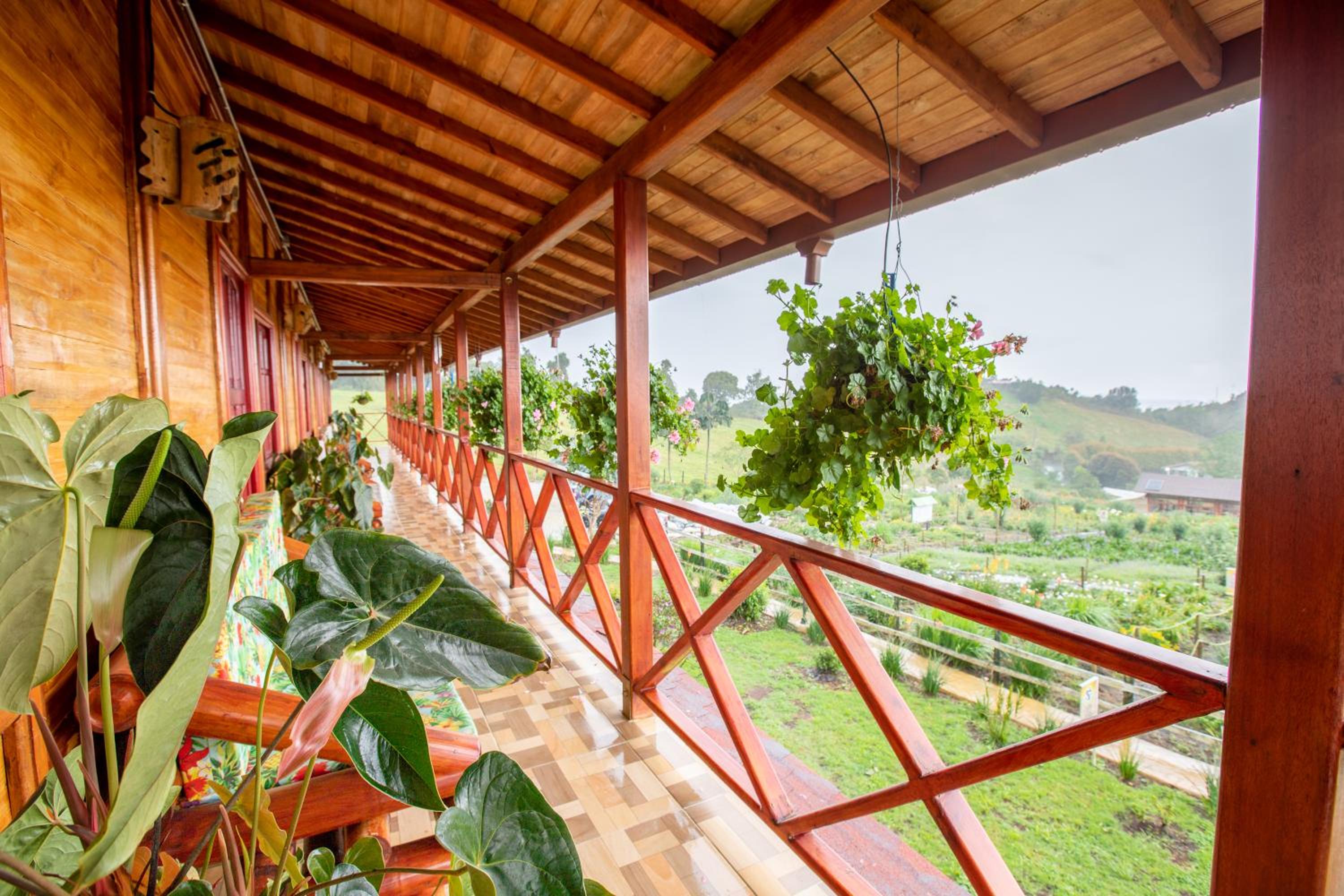Double Room with Mountain View photo 3