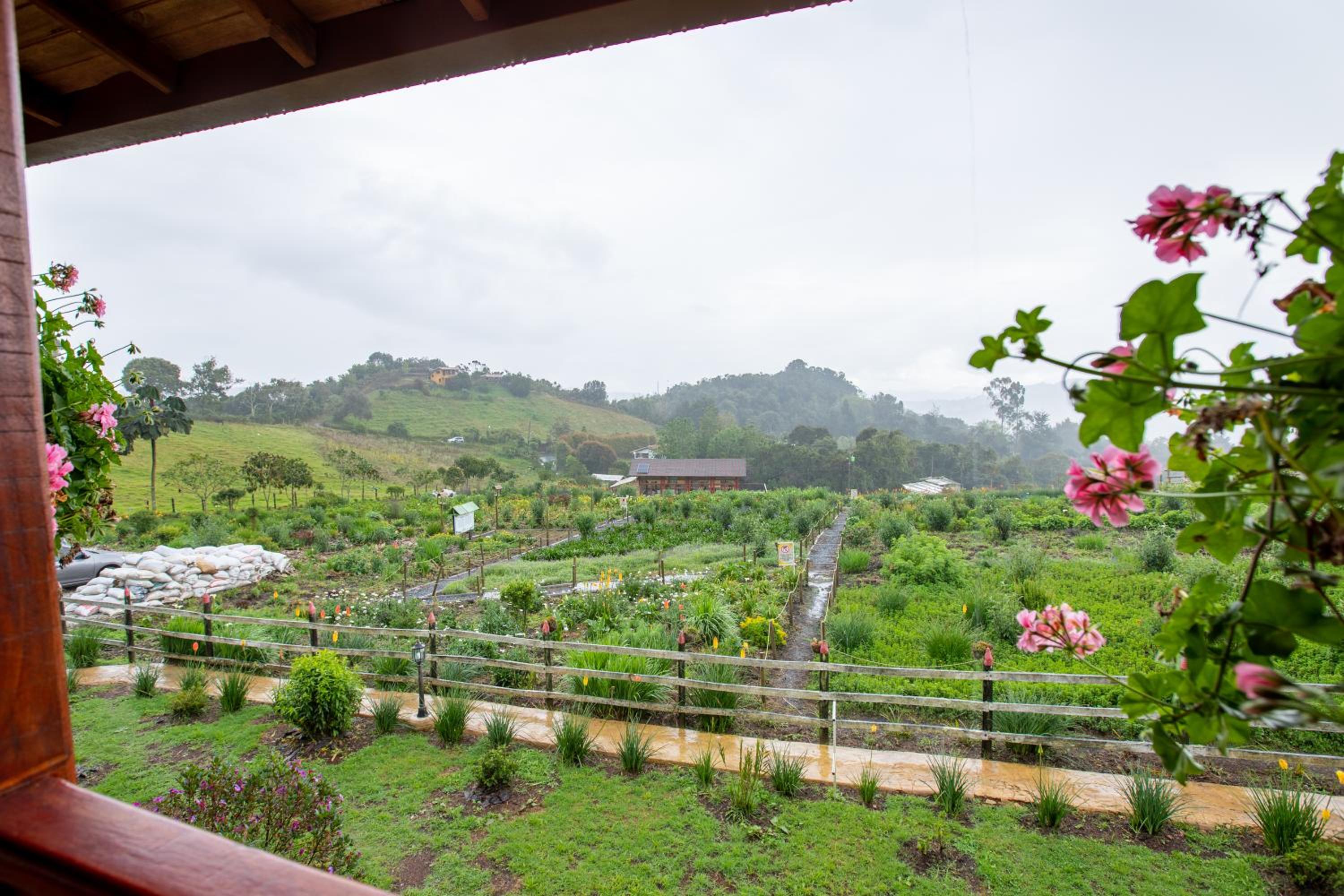 Double Room with Mountain View photo 1