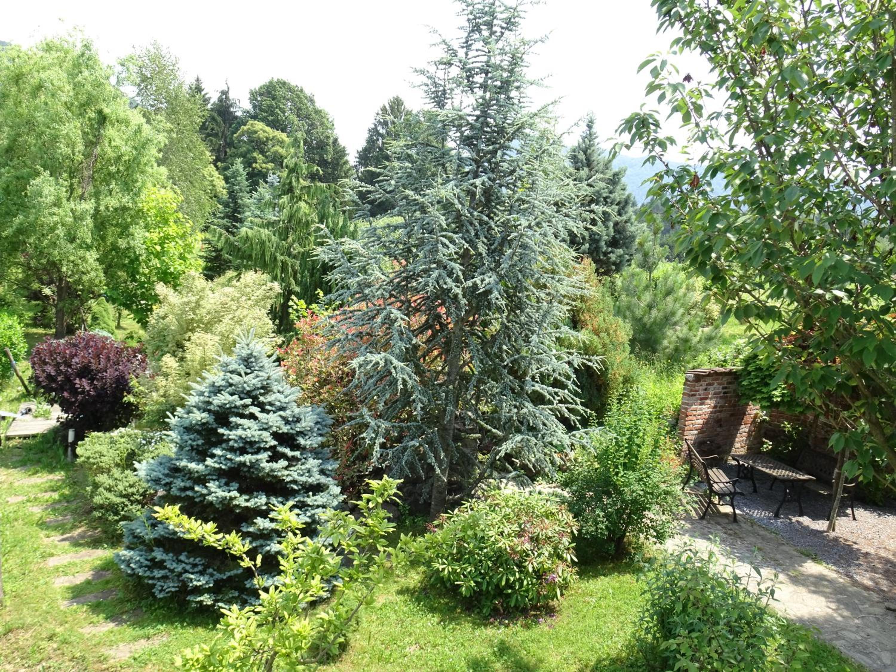 Apartment with Sauna photo 2