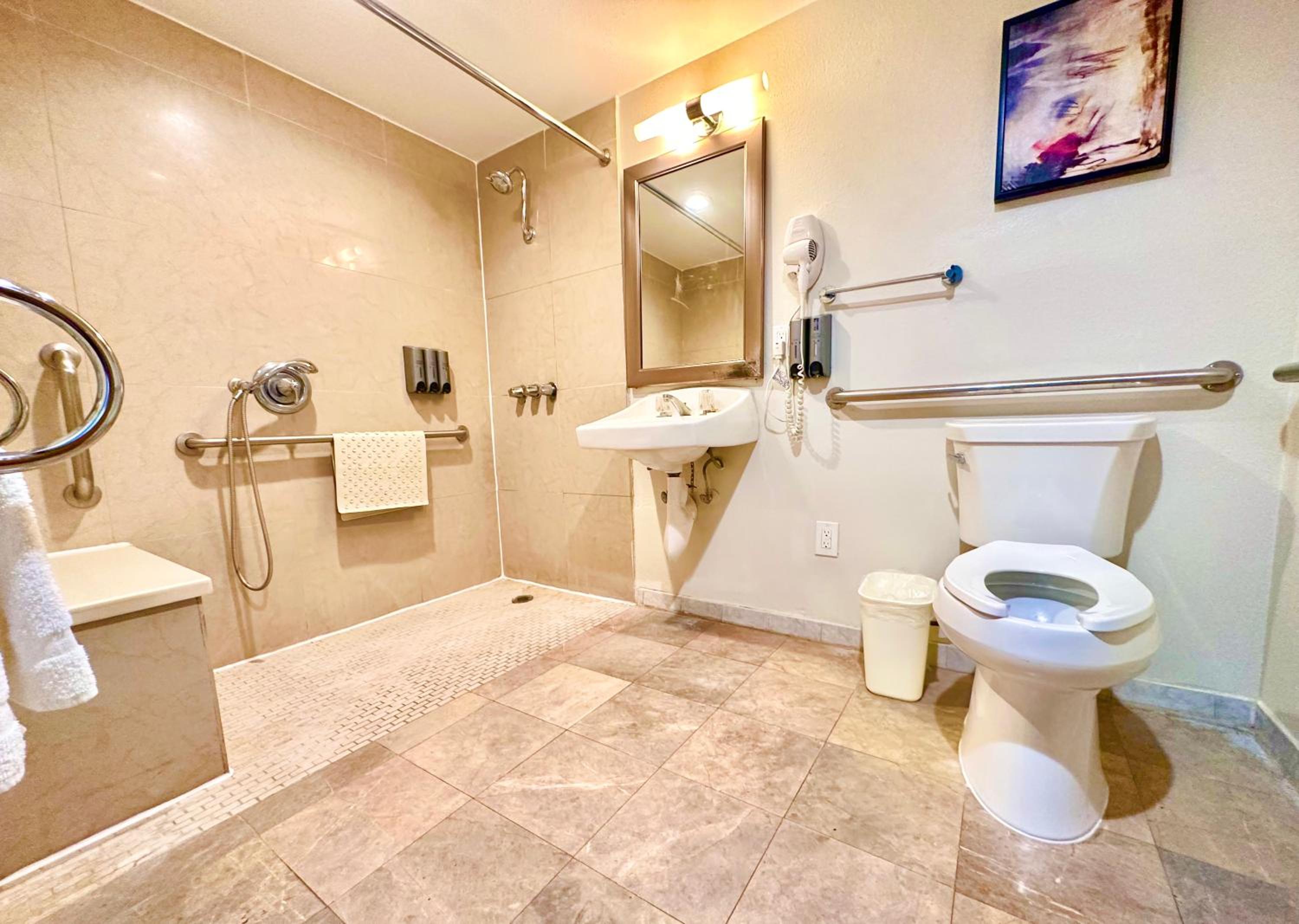 King Room with Mobility Accessible with Bath Tub  - Photo 18