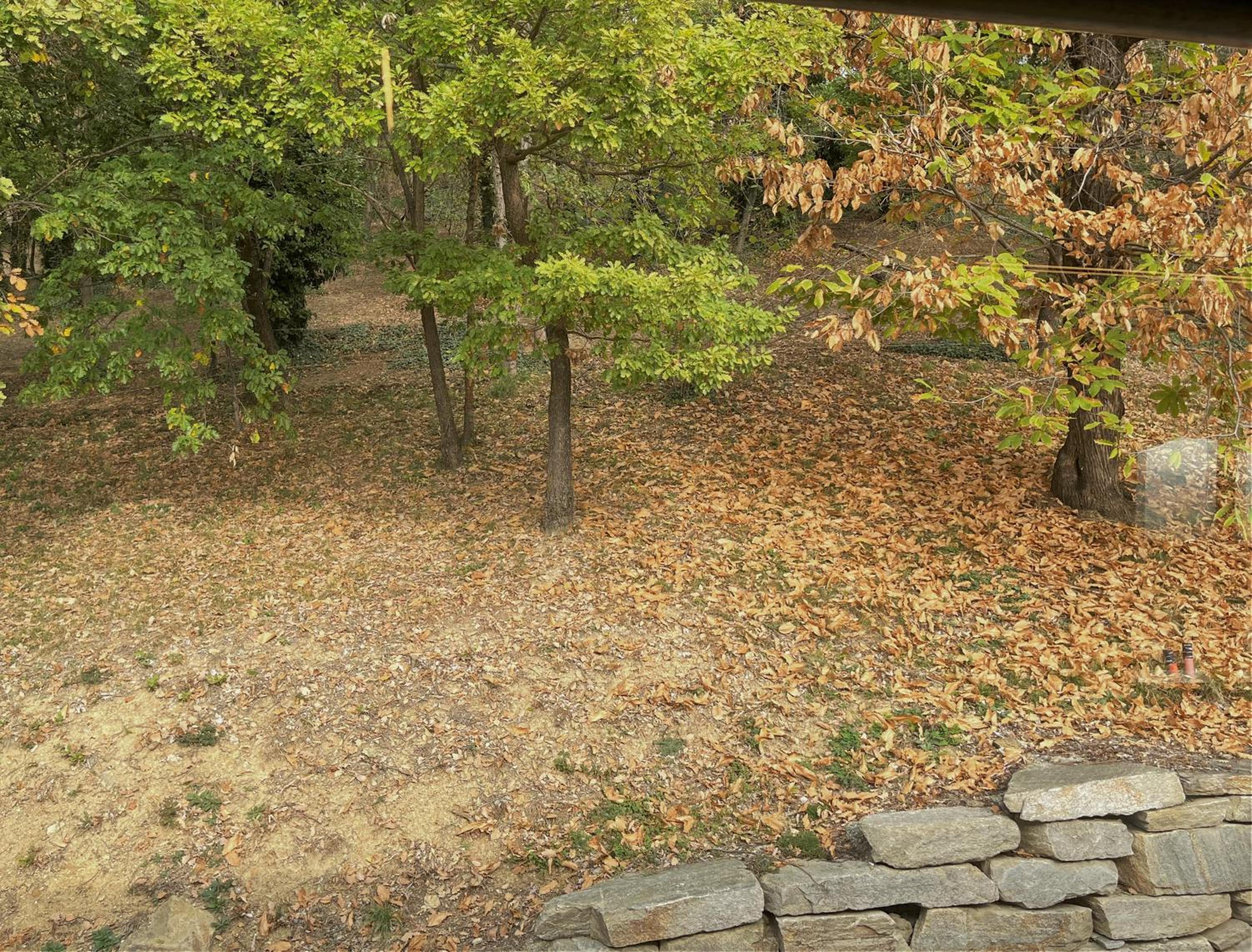 Vacation Home - Photo 3