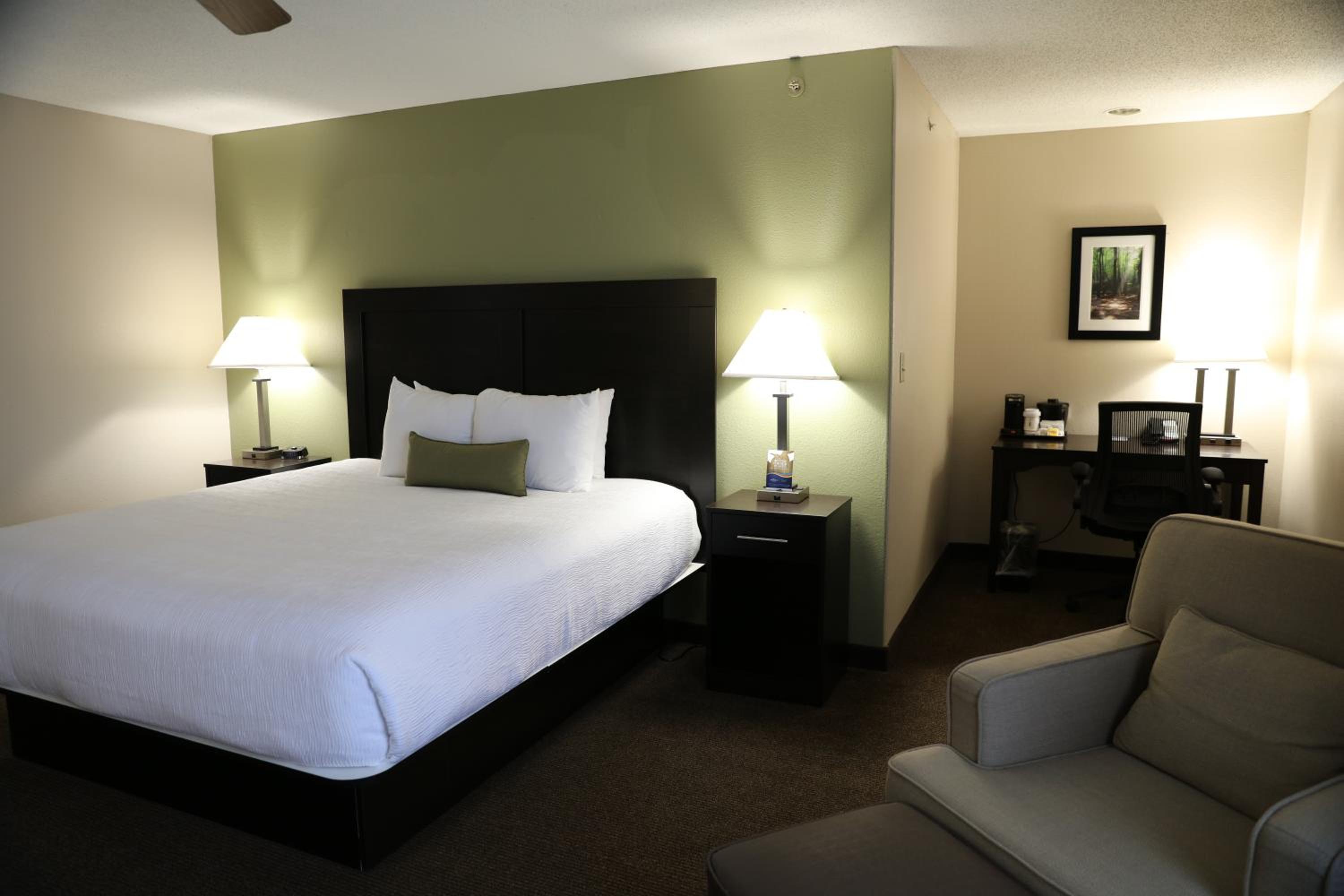 1 King Bed, Studio Suite, Non-Smoking - Photo 1