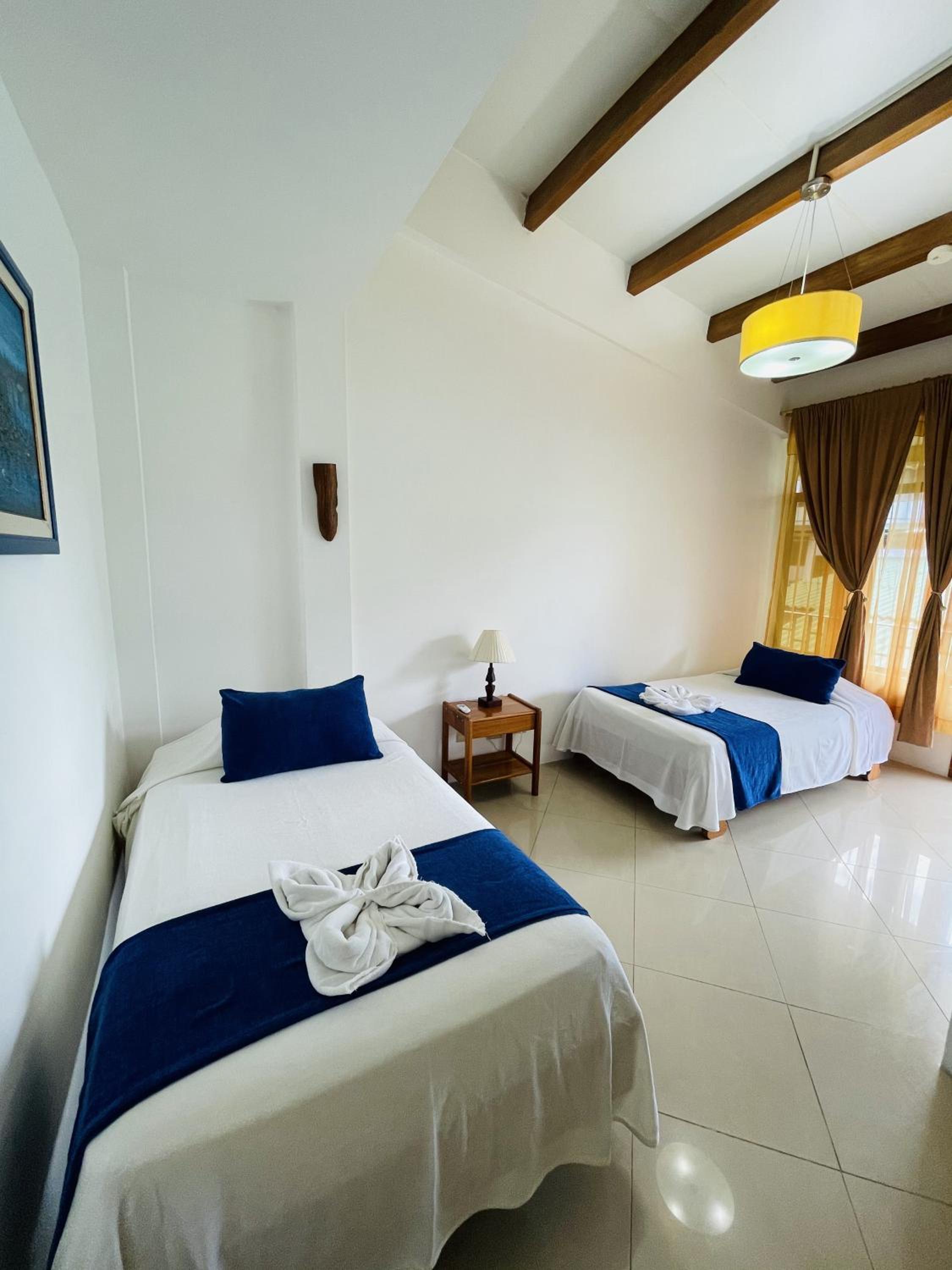 Twin Room photo 2