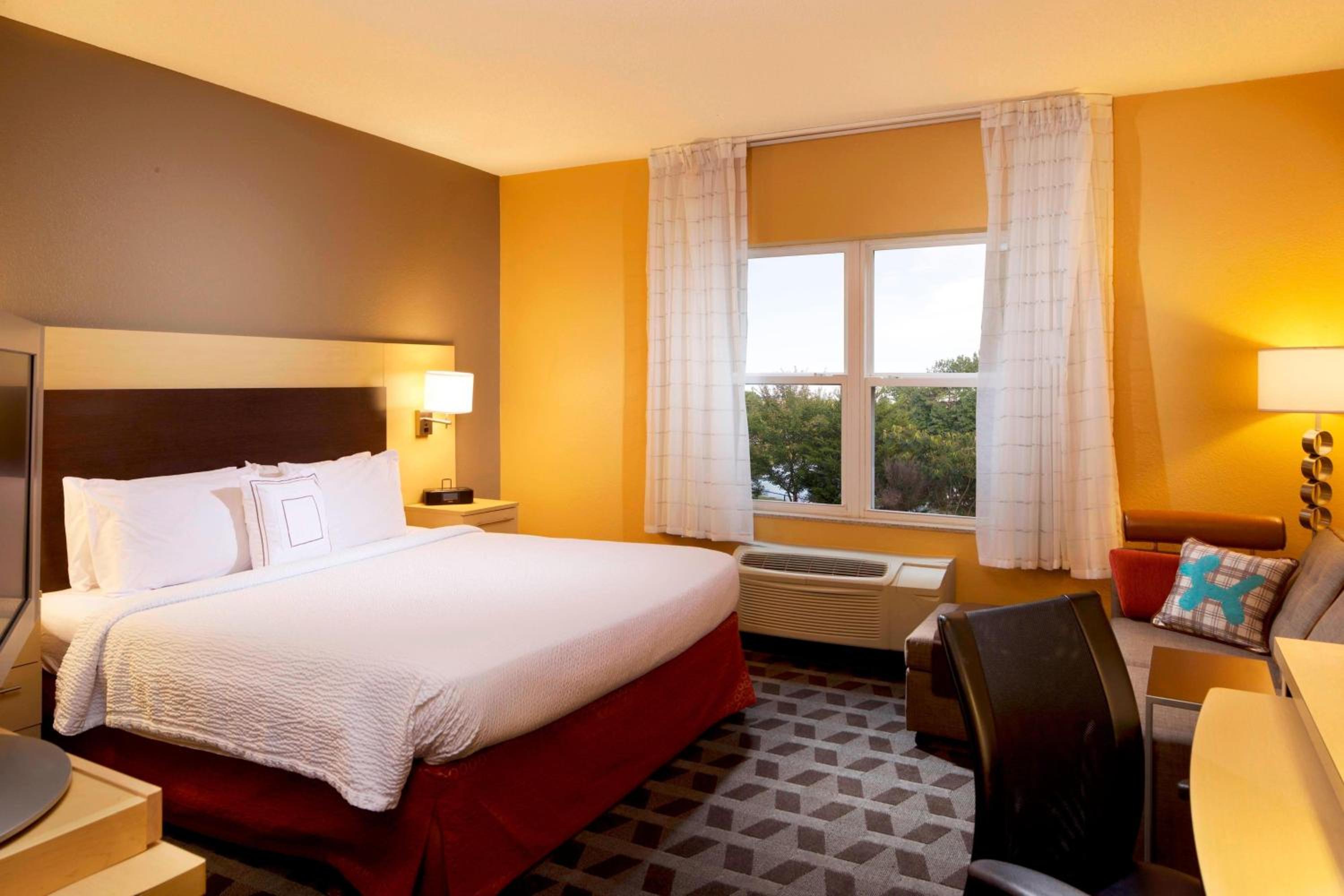 Studio Suite with One King Bed and Sofa bed - Photo 1