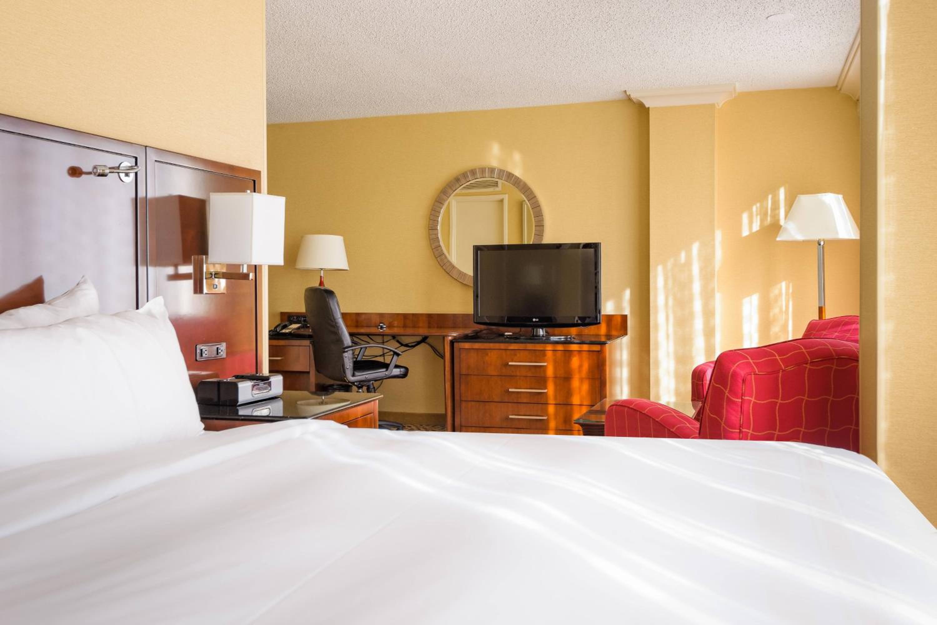 Larger Room - One King Bed - Photo 1