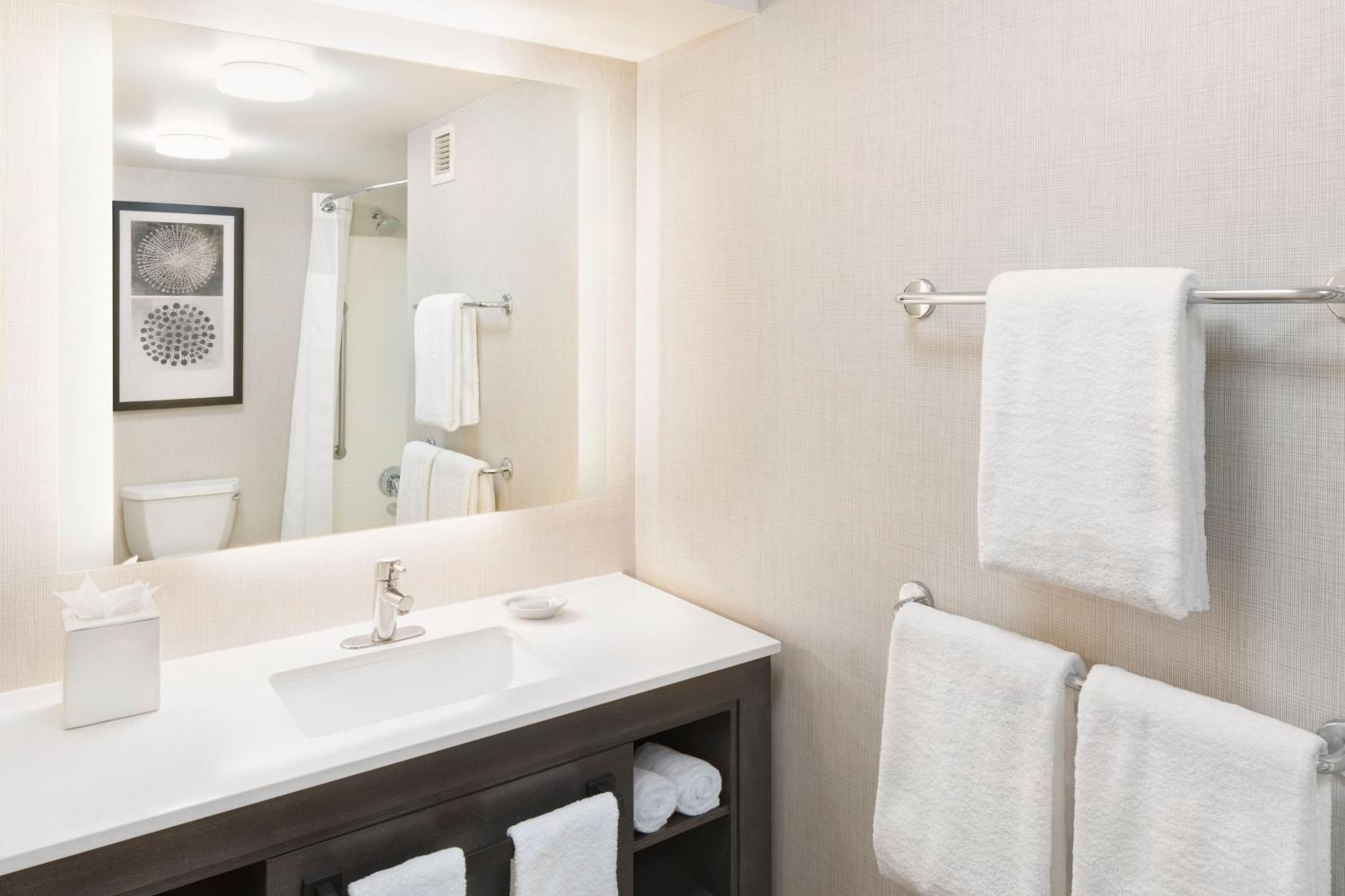 Two-Bedroom King Suite - Photo 3