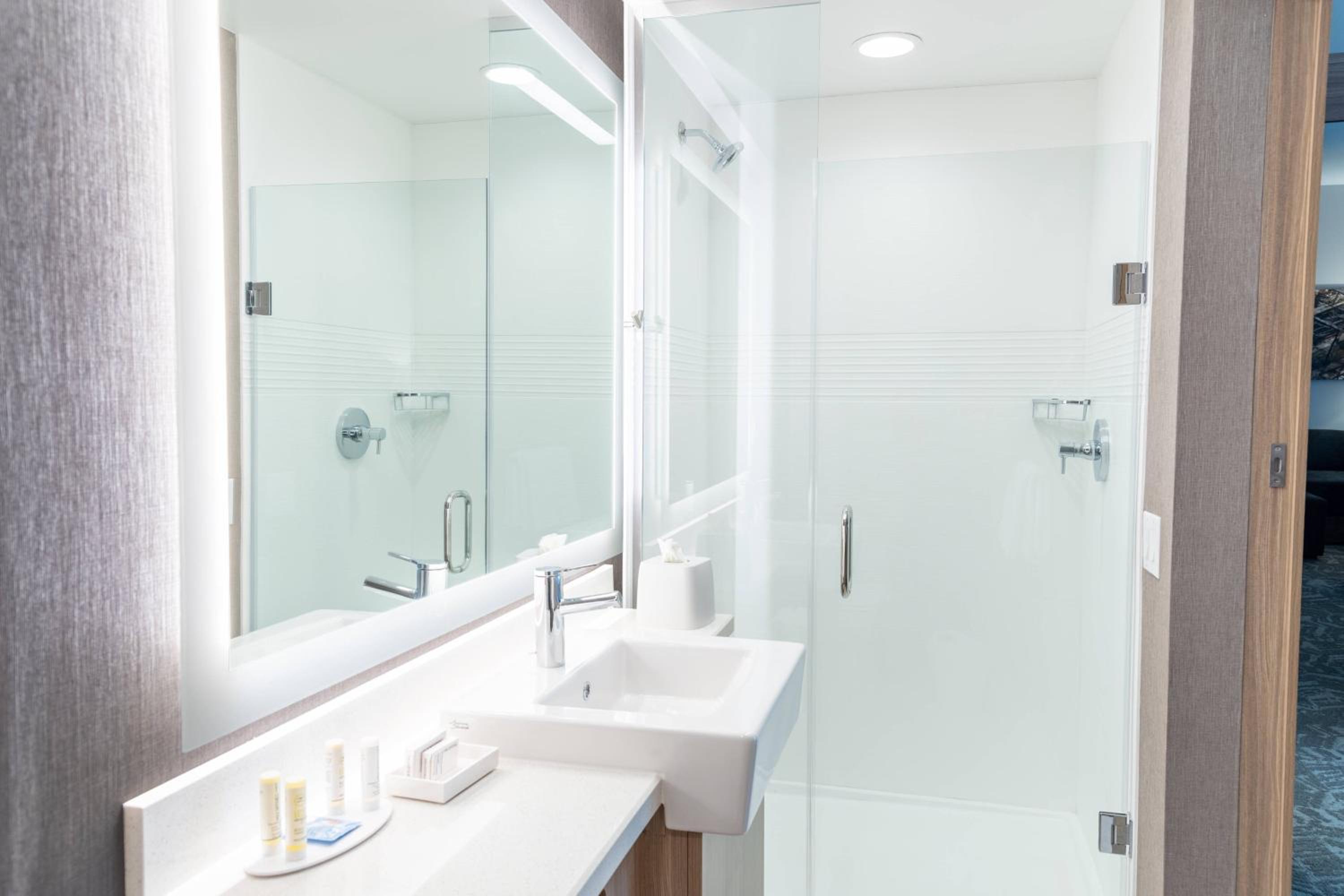 Queen Suite with Tub - Mobility Accessible photo 3