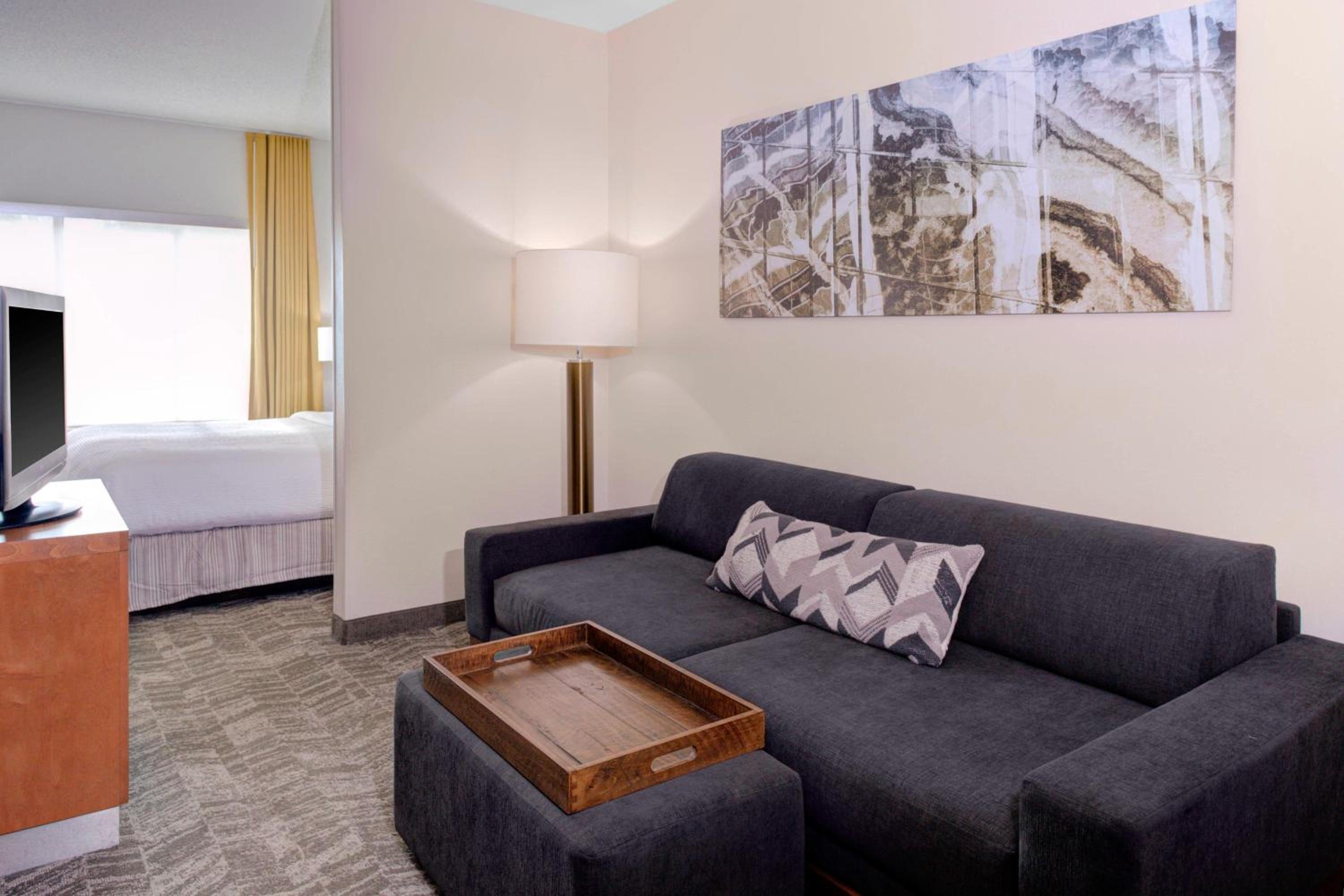 King Suite with Sofa Bed