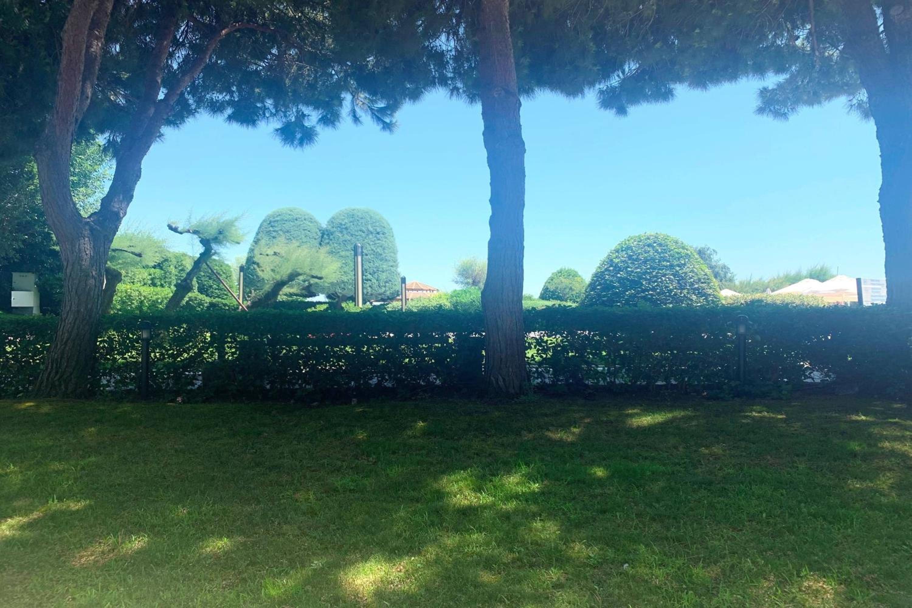 Garden Deluxe King Room