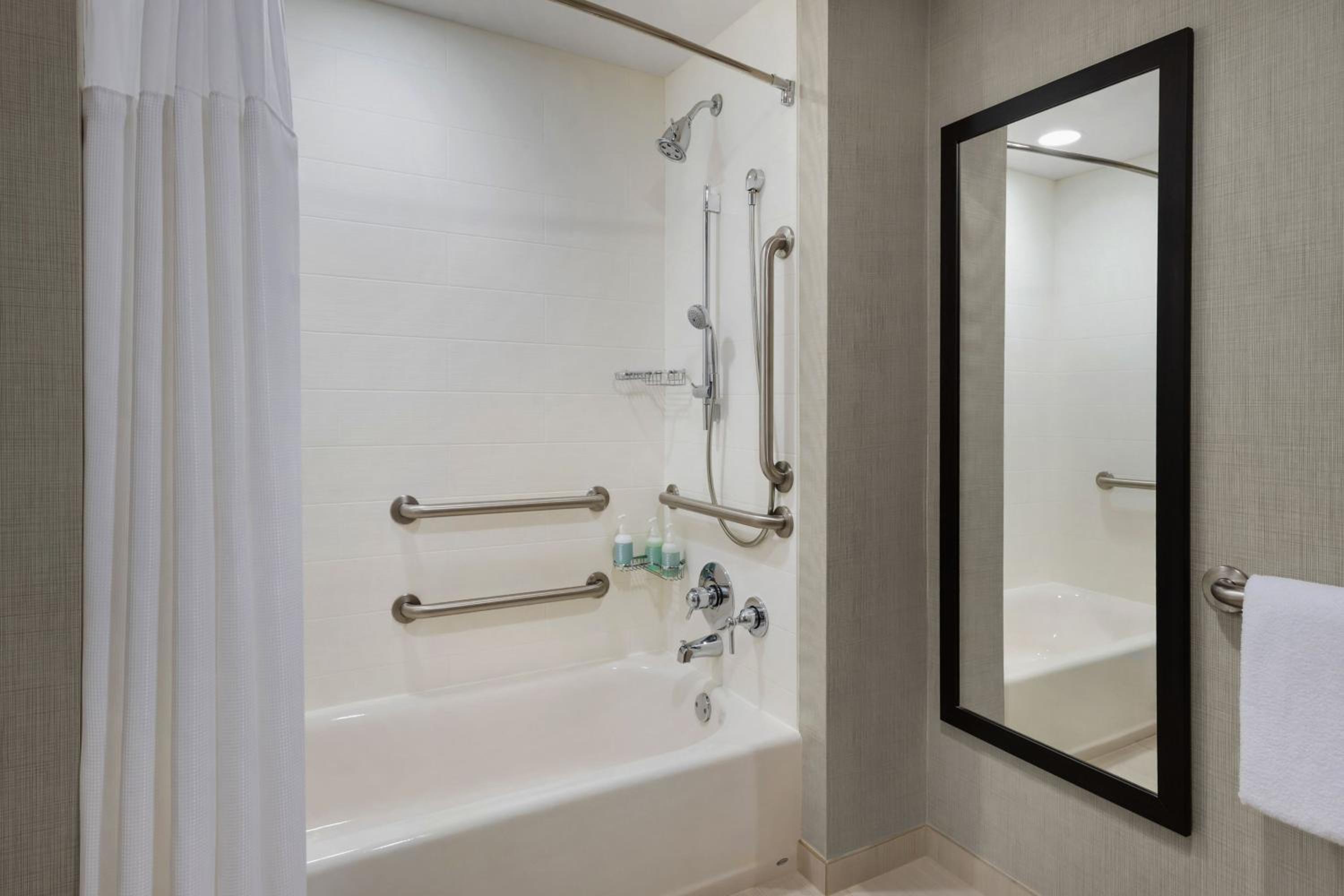 One-Bedroom King Suite - Photo 4