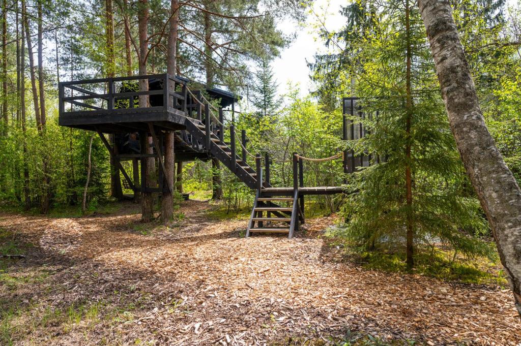 Forest Treehouse photo 2