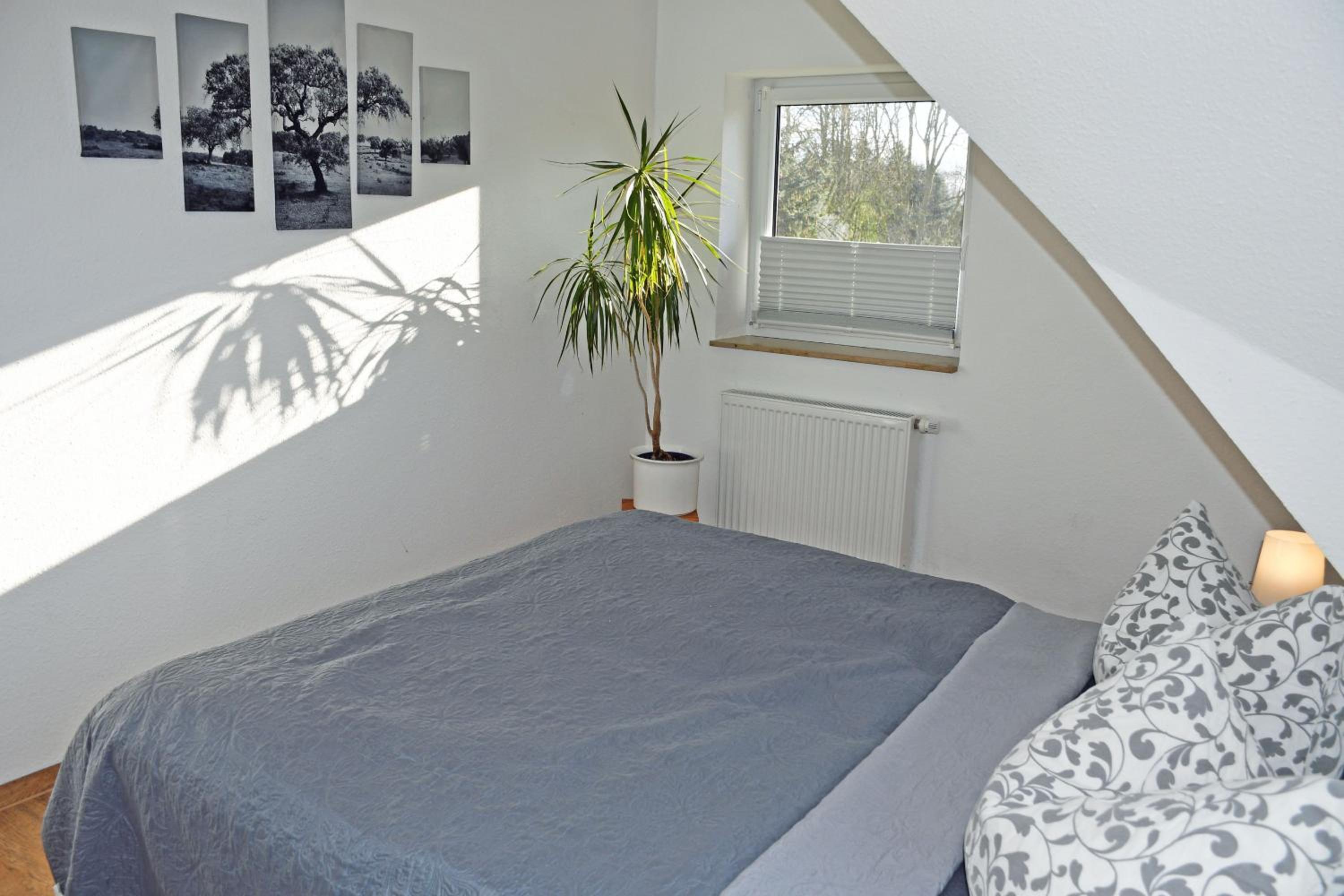 Apartment with Balcony photo 3