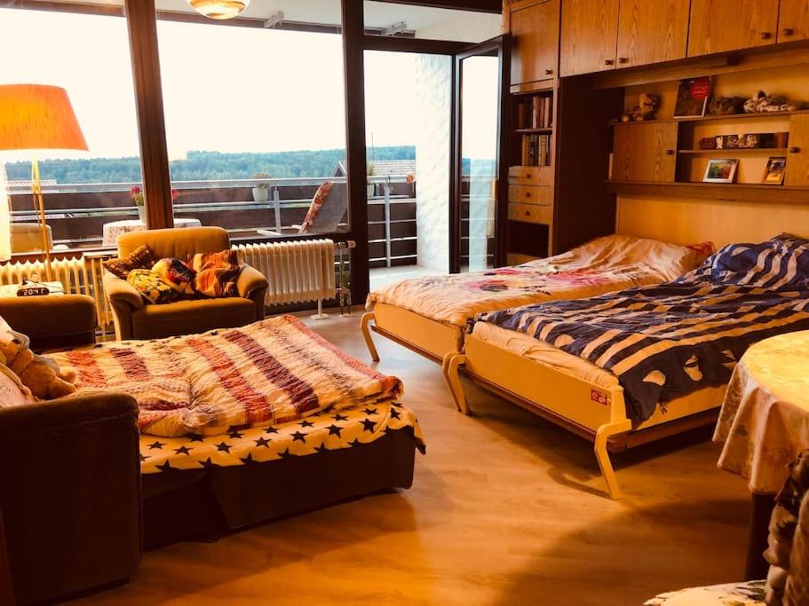 One-Bedroom Apartment photo 2