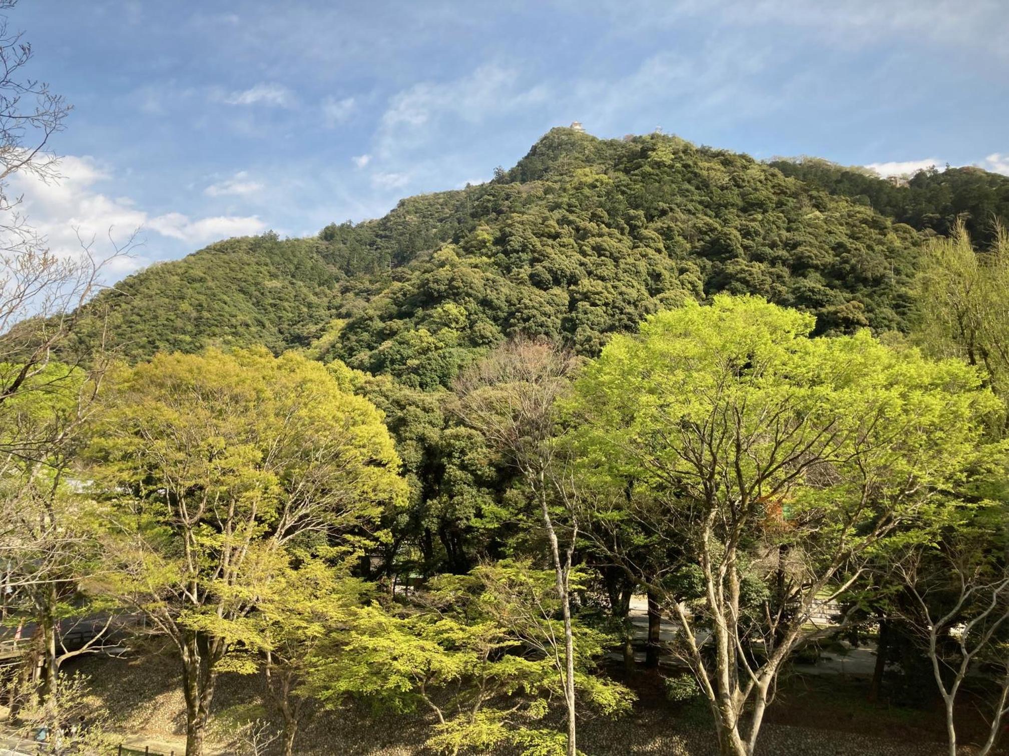 Suite with Mountain View photo 3