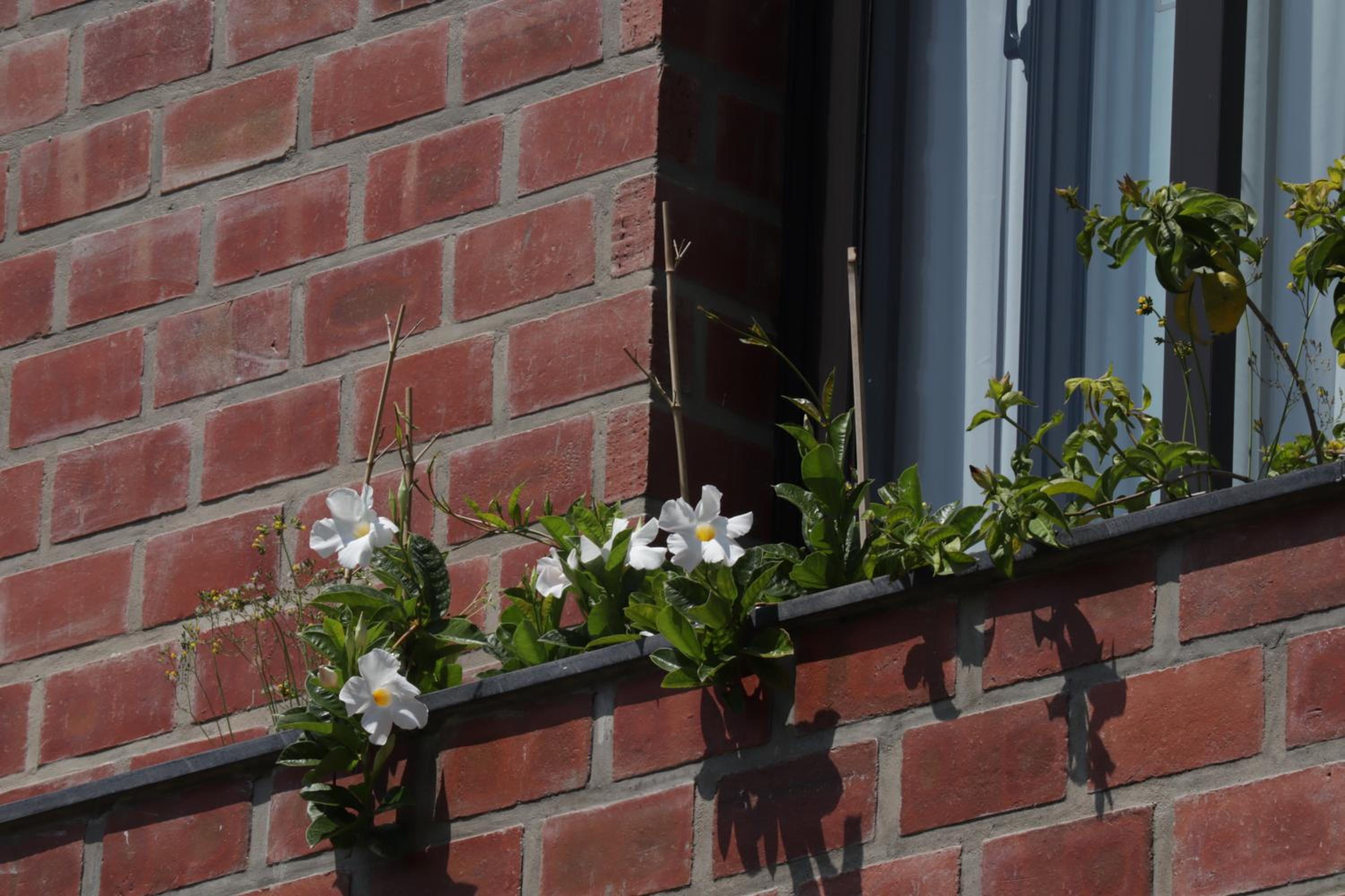 Villa with Garden View - Photo 29