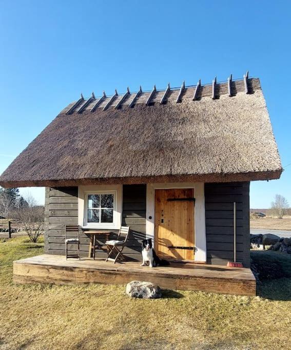 One-Bedroom House photo 1