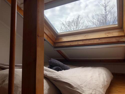 Triple Room with Shared Bathroom photo 3