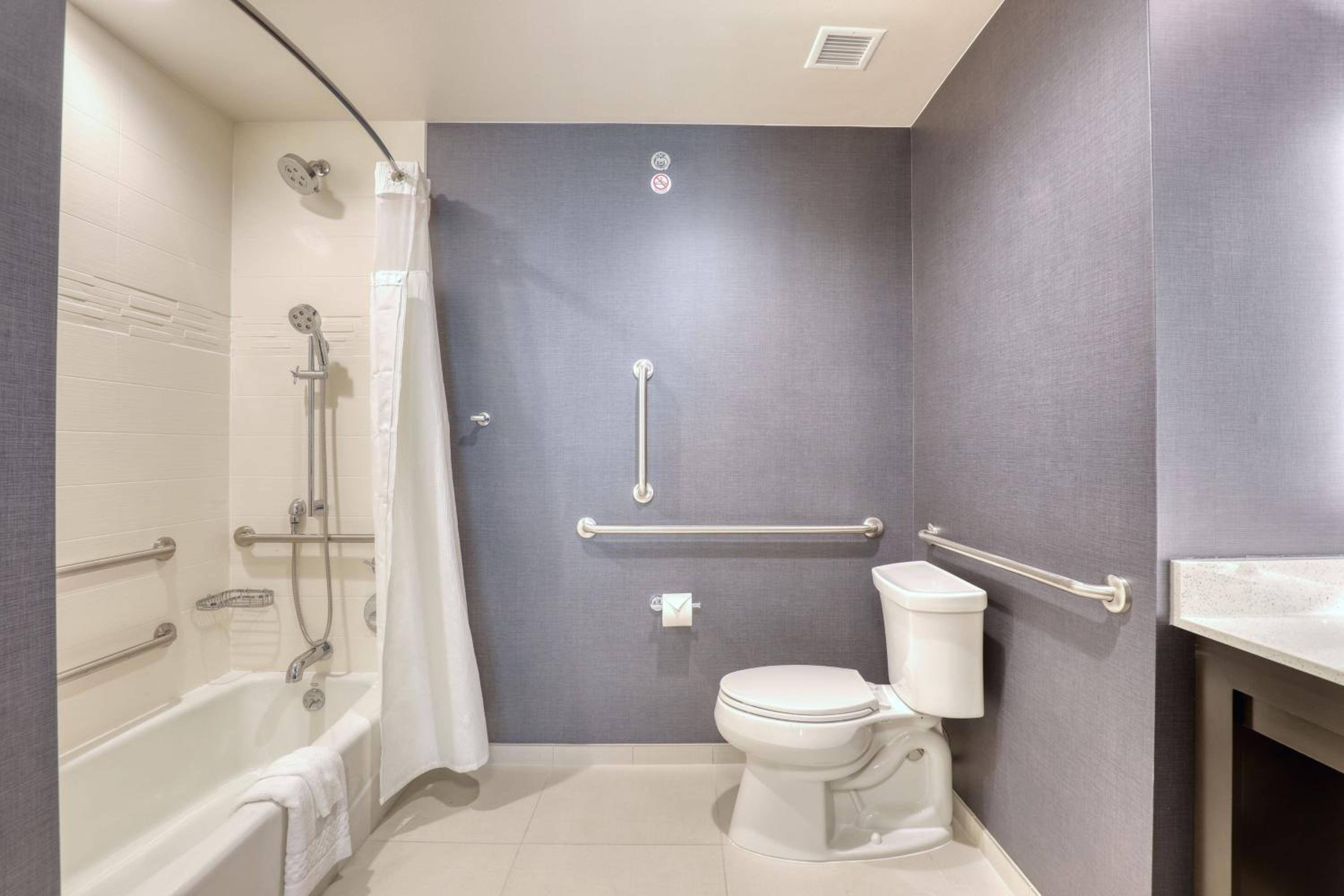1 Bedroom Suite, 1 King, Sofa bed - Photo 3