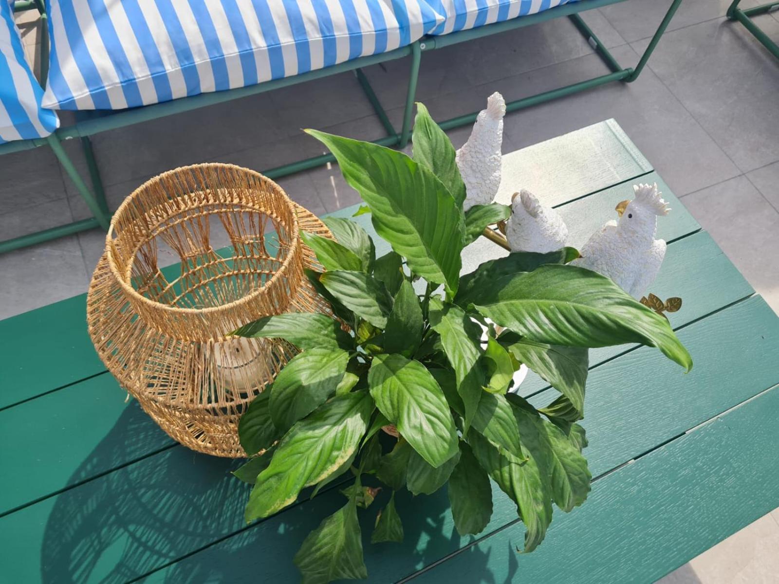 Vacation Home - Photo 49