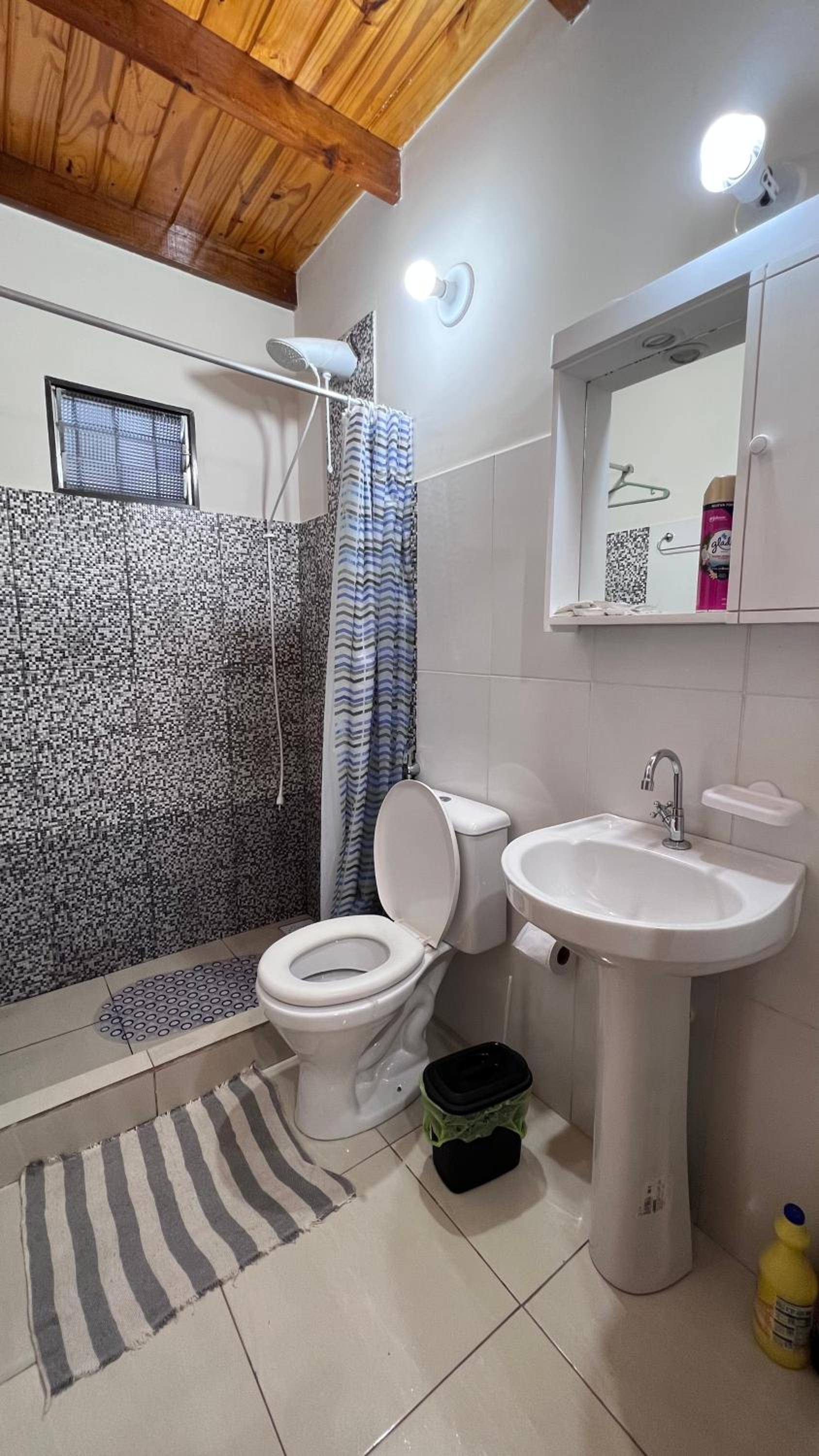 Duplex Apartment photo 2