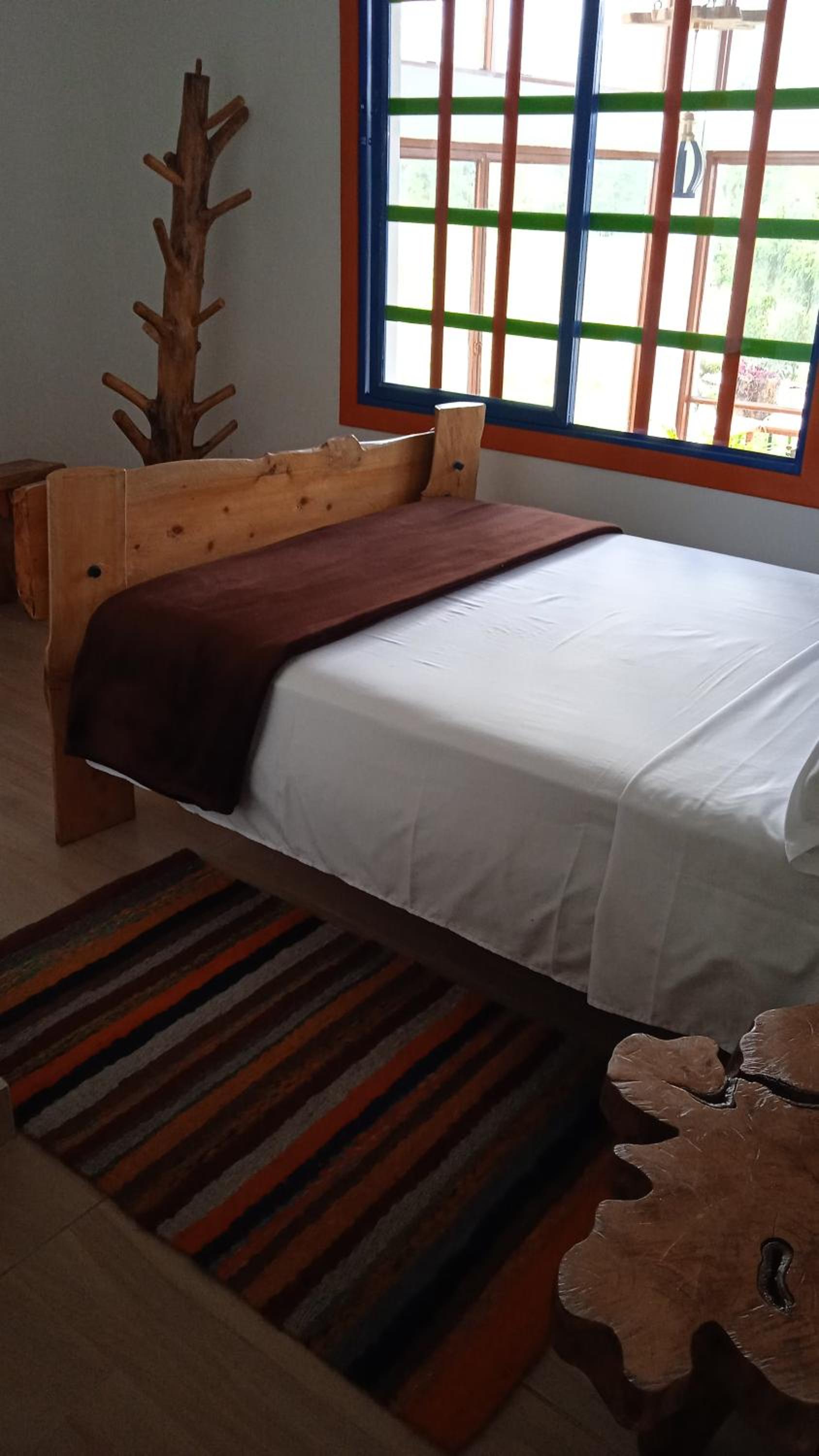 Single Room photo 1