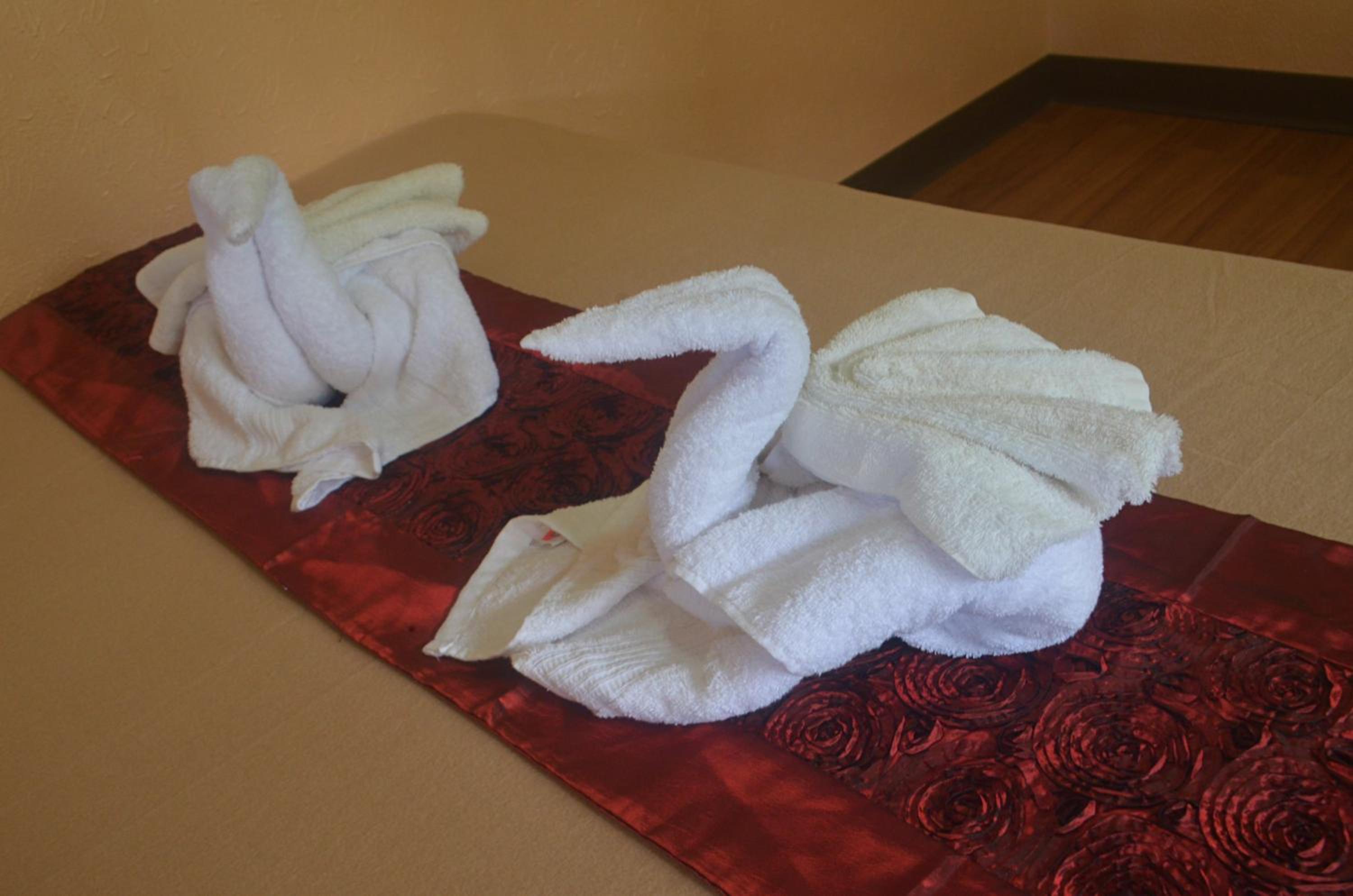Premium Room - Photo 9