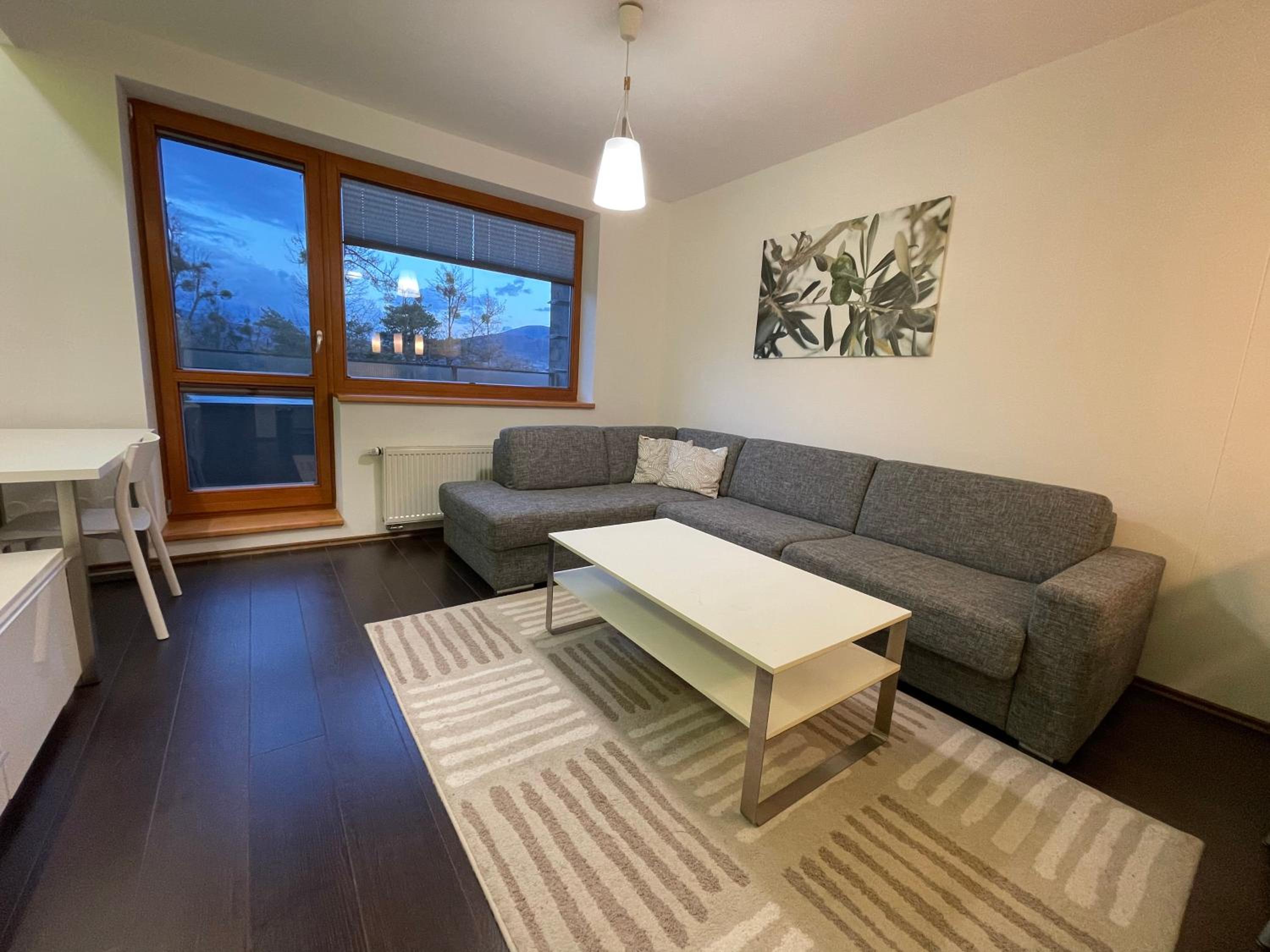 One-Bedroom Apartment - Photo 5
