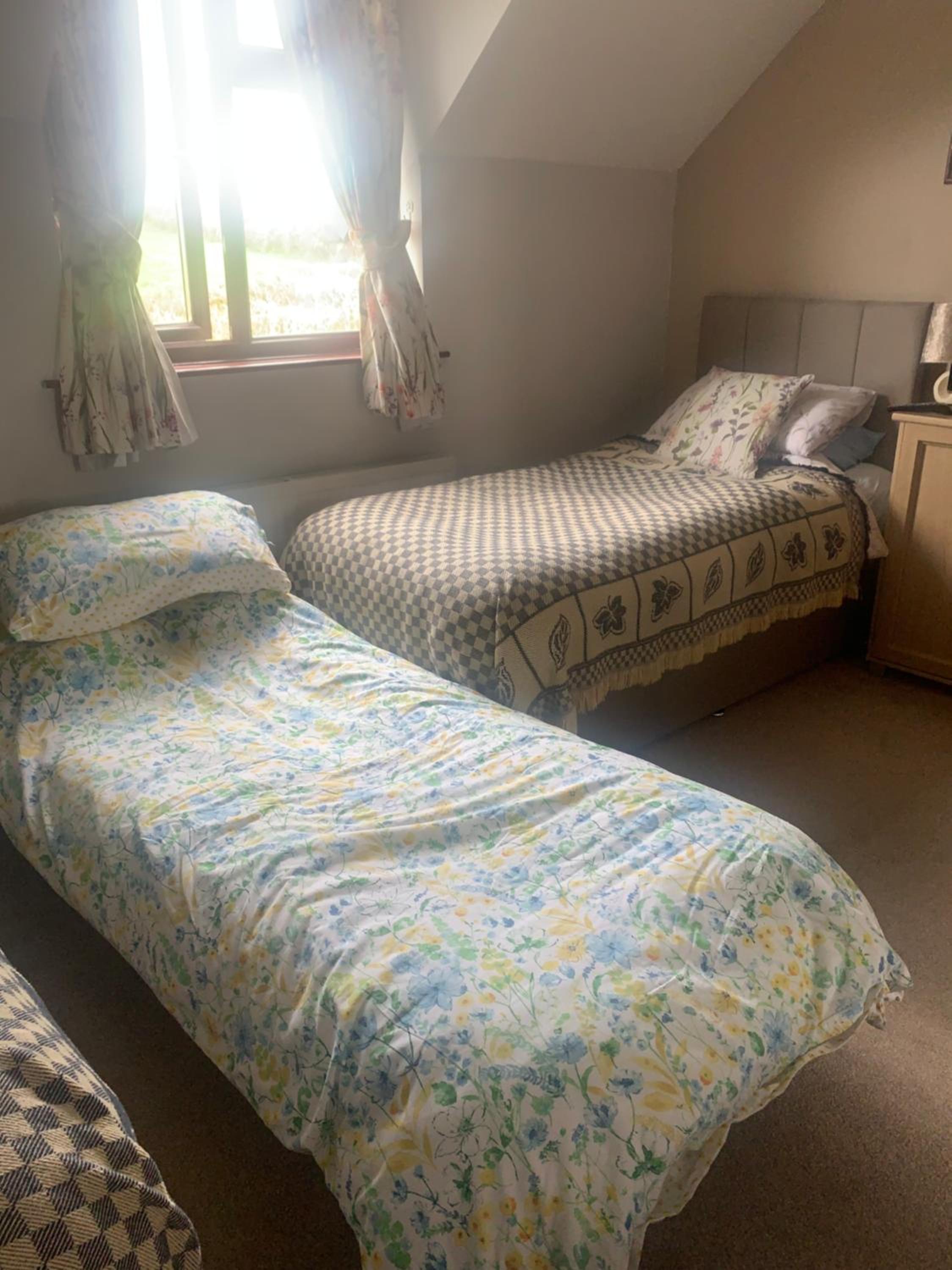 Family Suite - Photo 1