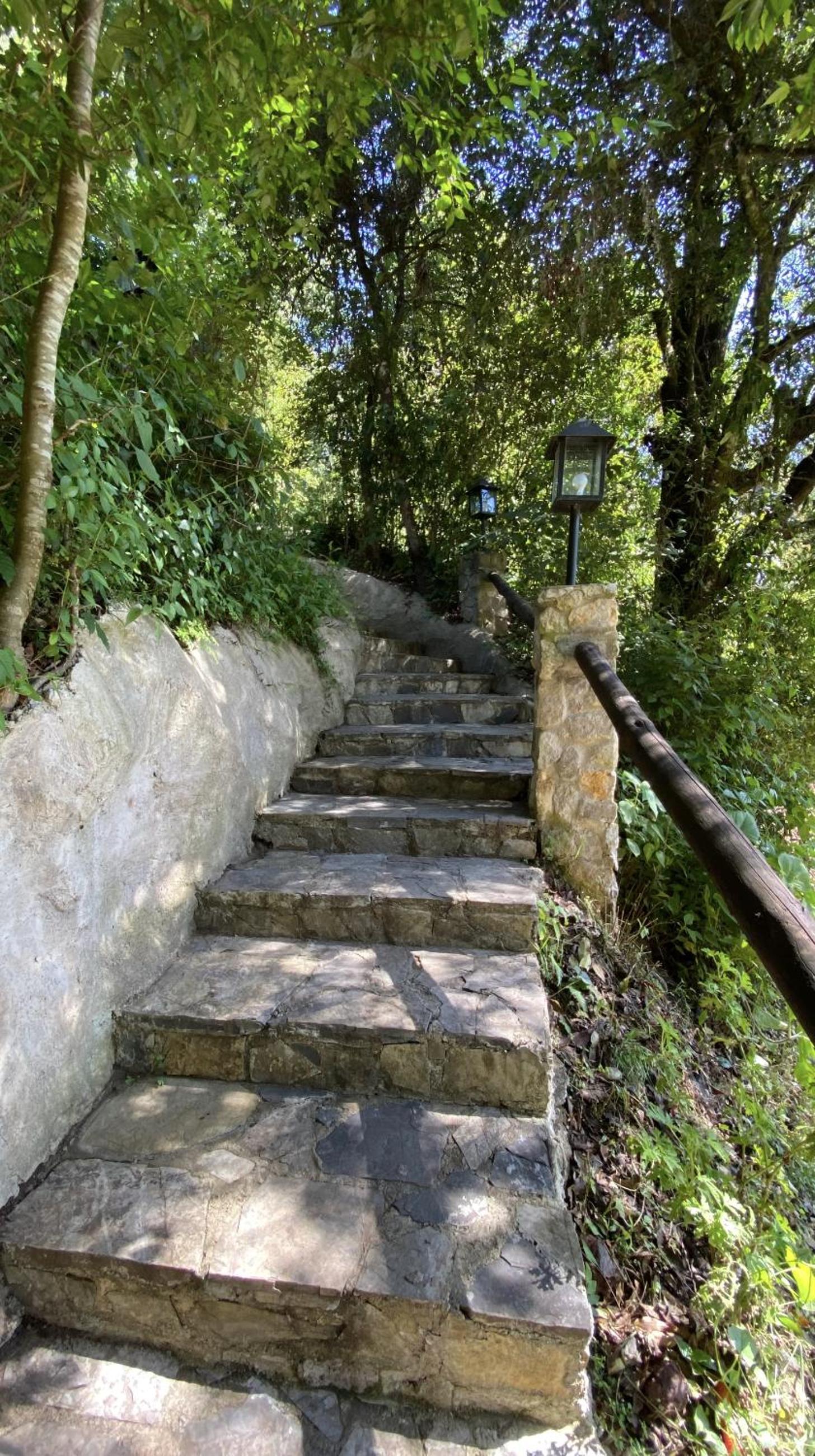 Cottage - Photo 11