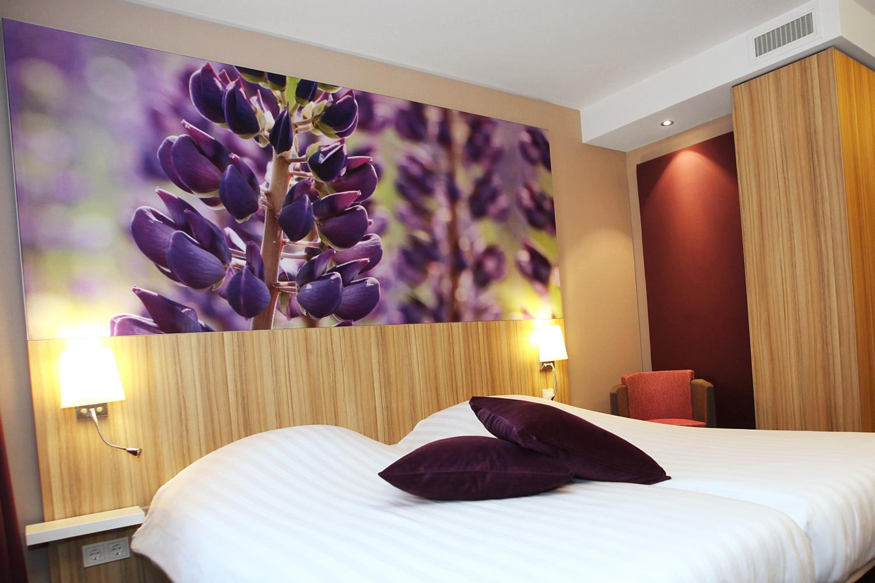 Comfort Room - Photo 1