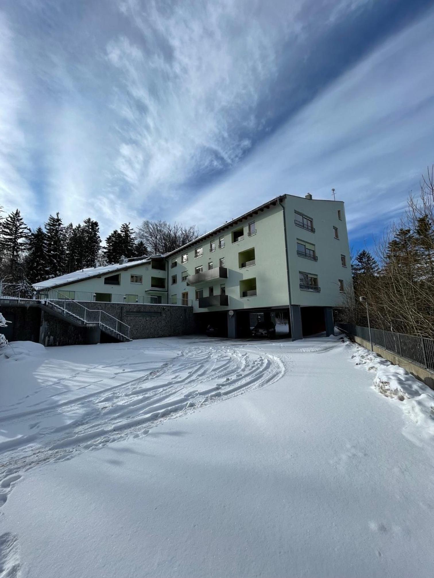 Apartment with Mountain View photo 3