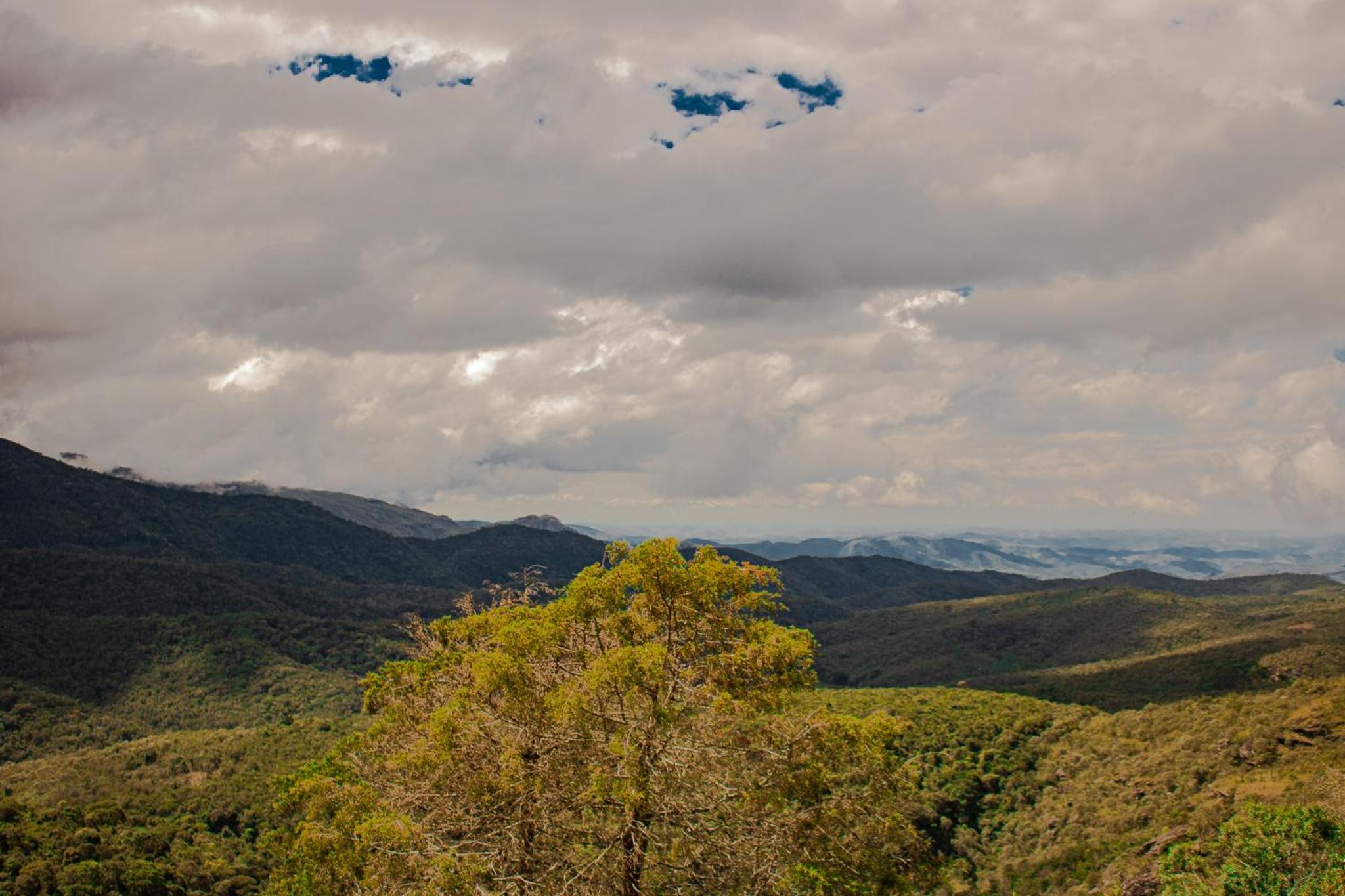 Studio with Mountain View photo 2