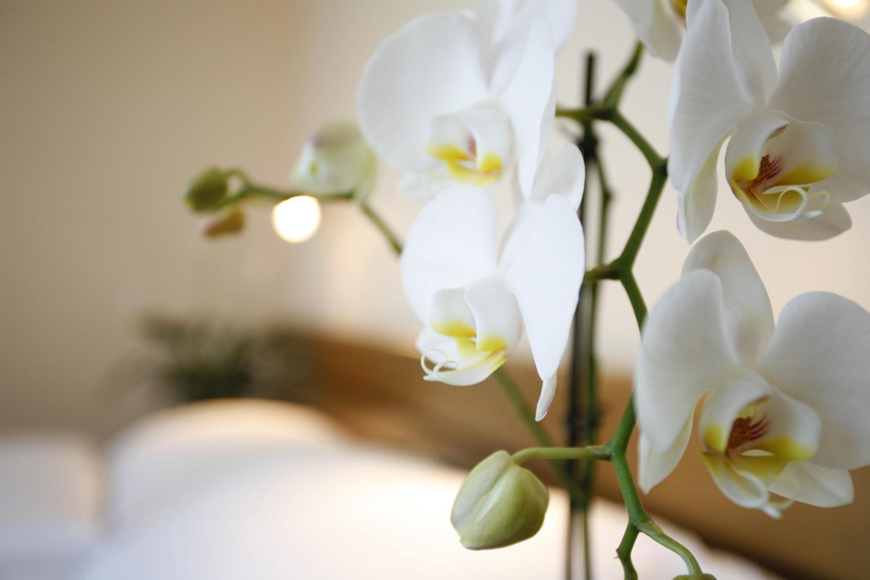 Standard Double Room - Photo 7