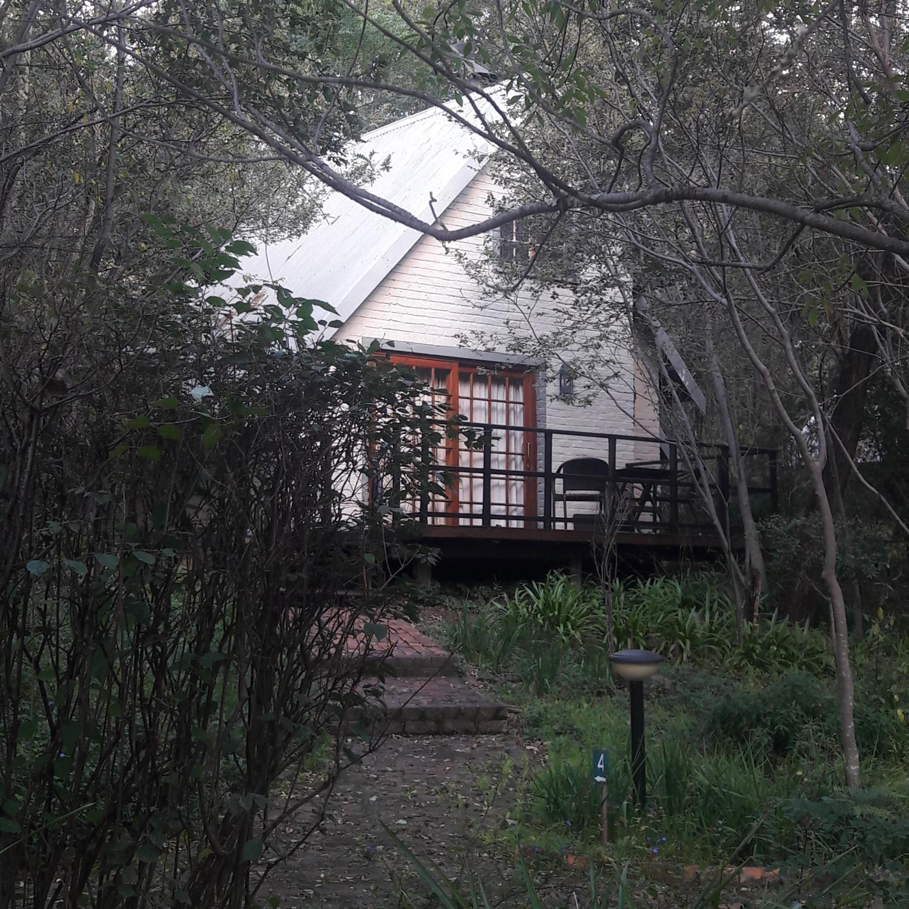 Standard Cabin - Photo 7