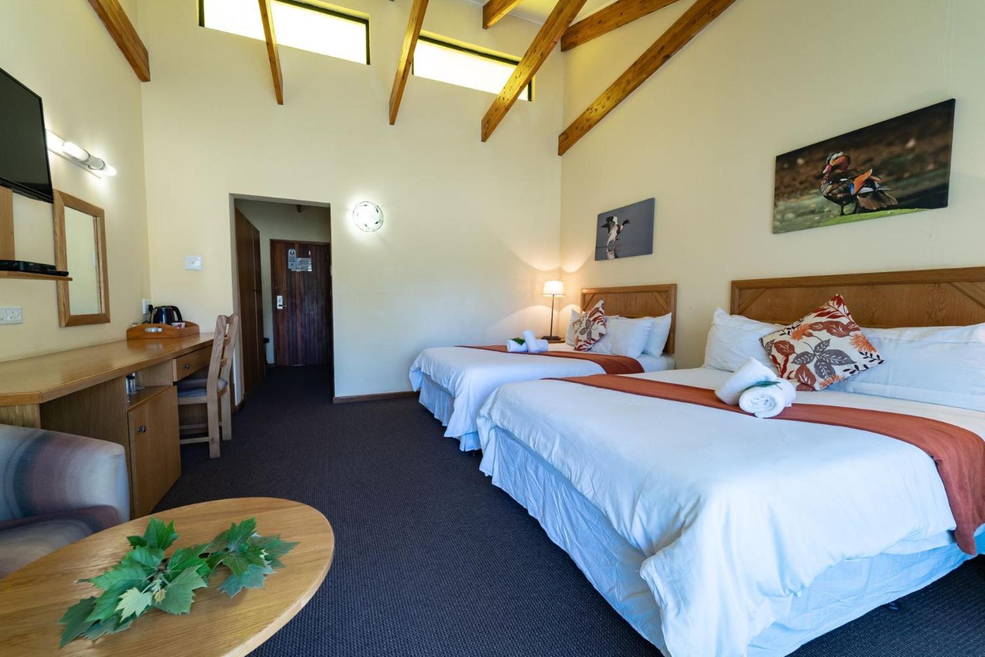 Superior Double Room (Hotel Room)  photo 1