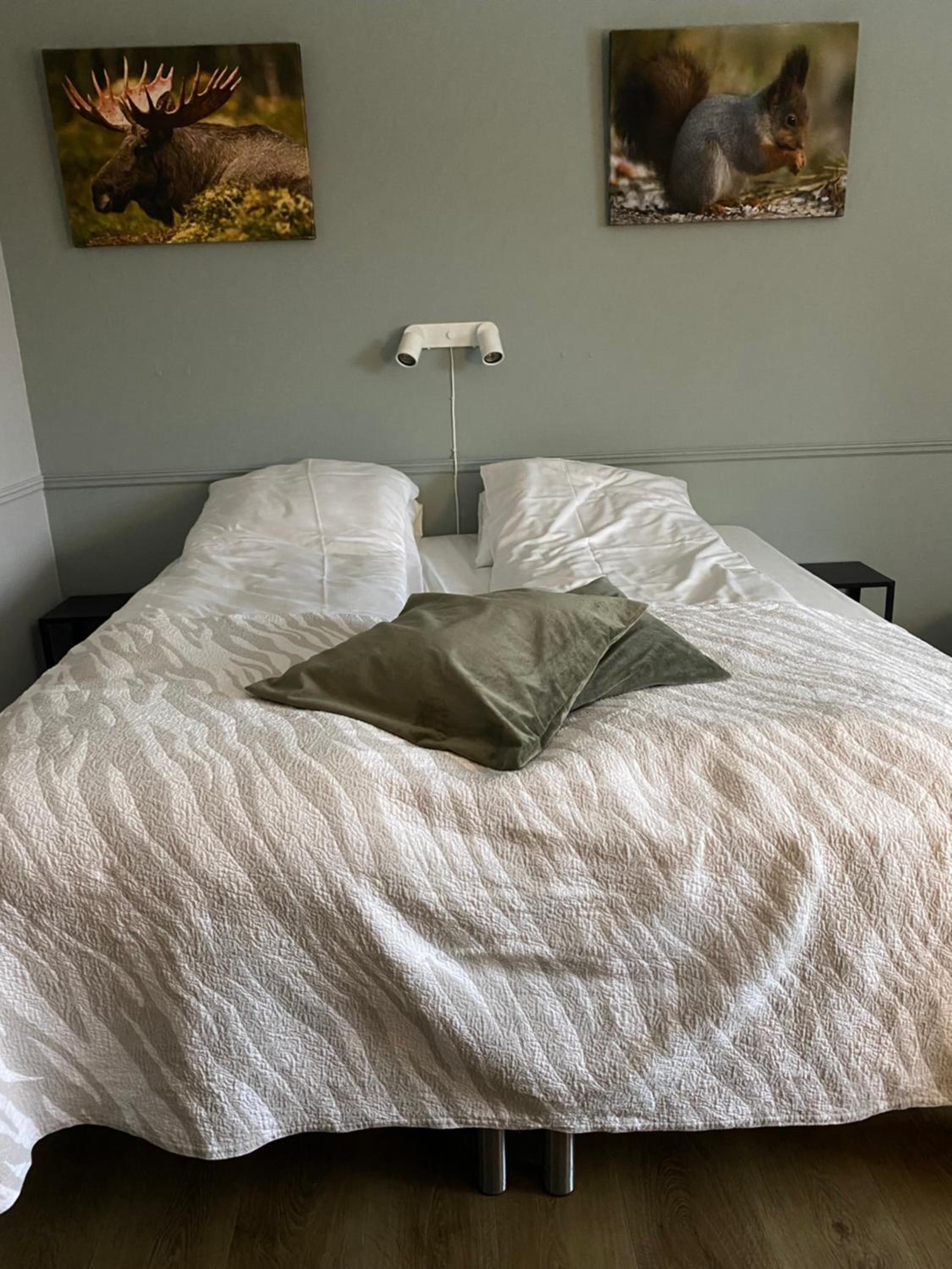 Twin Room photo 2