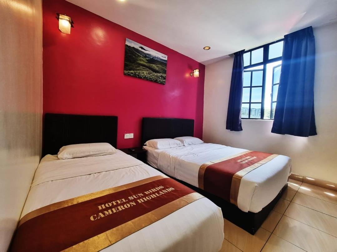 Triple Room - Photo 4